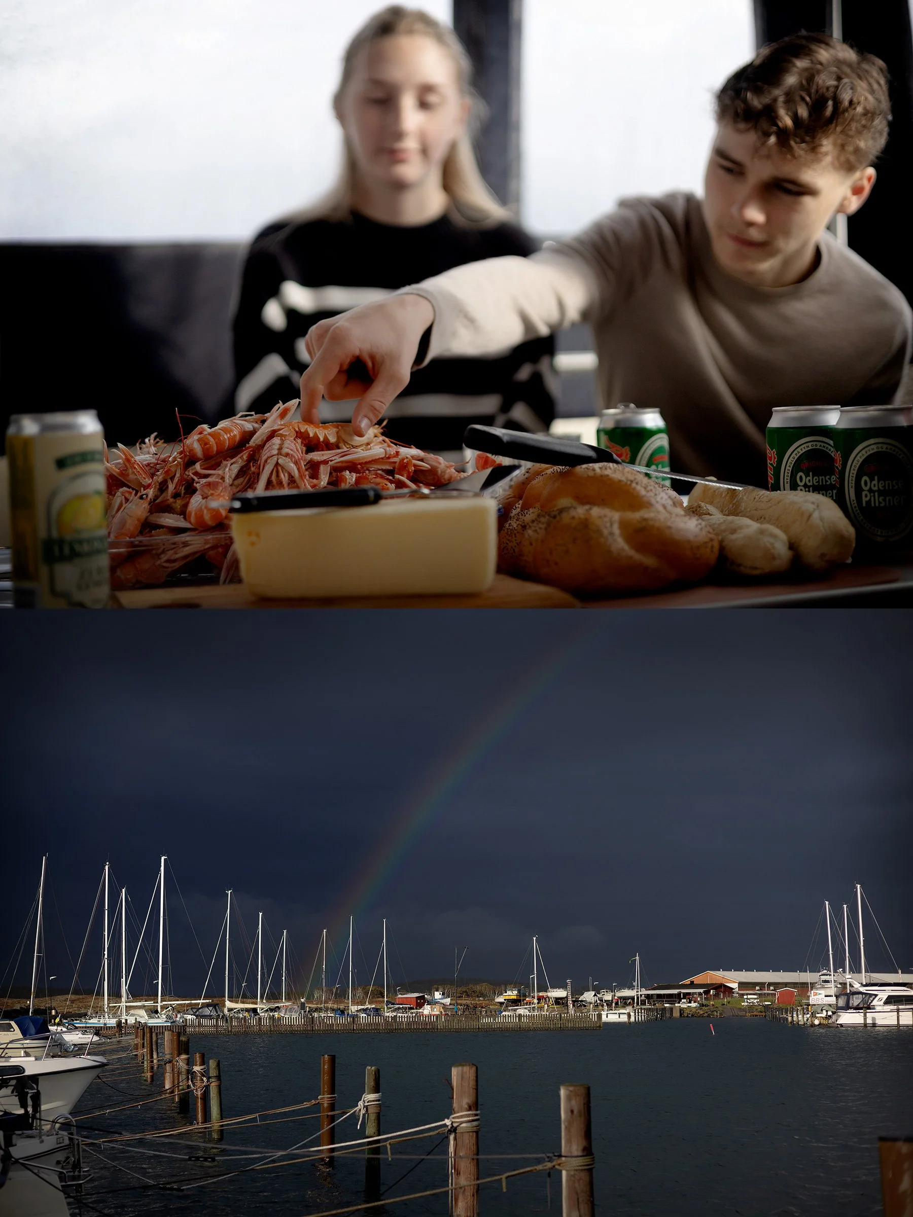 Kräftor på båten