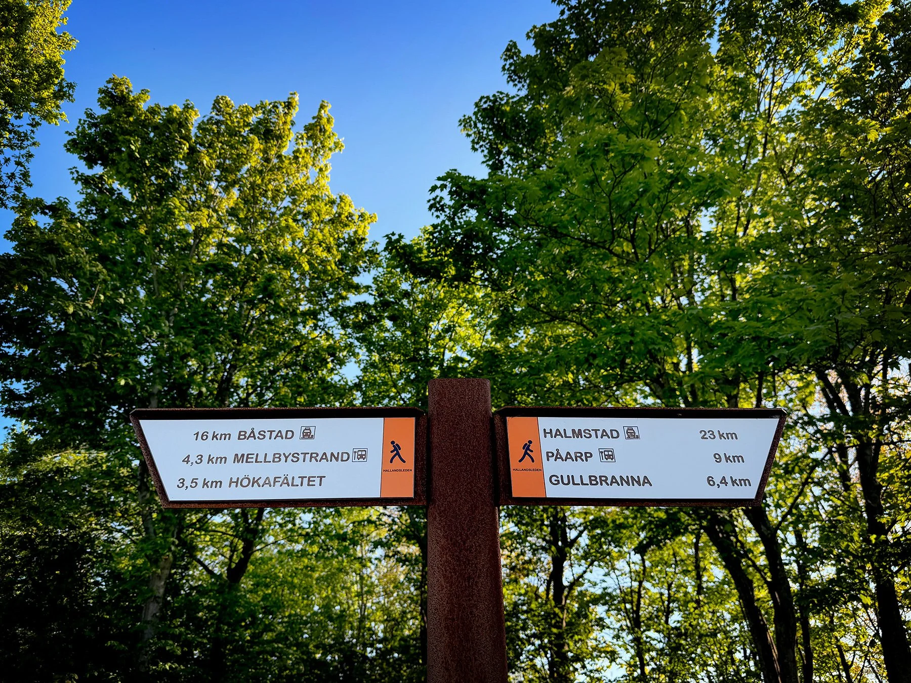 blogg-260519-bilutflykt-4.jpg