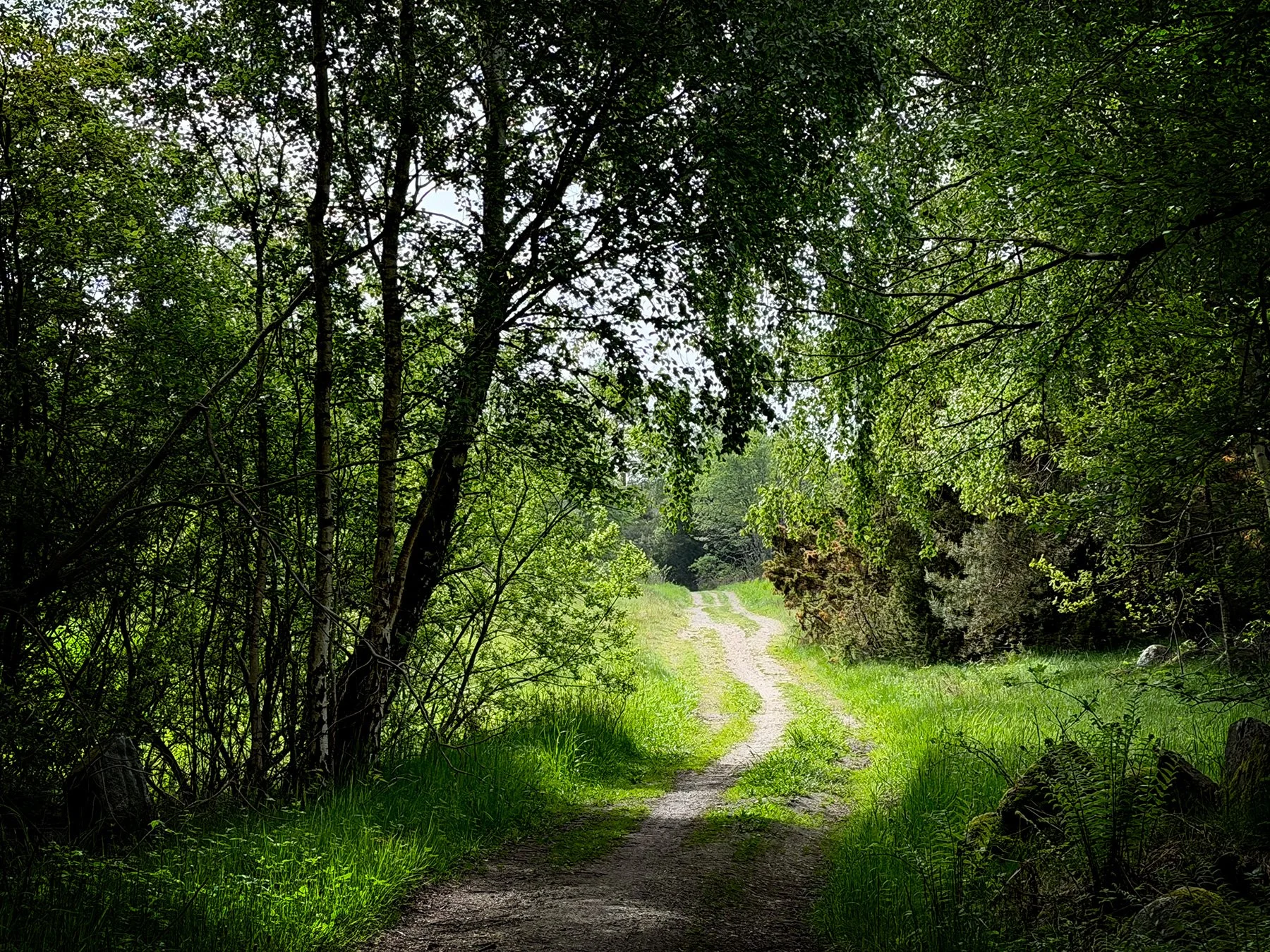 blogg-260522-anneth-promenad-1.jpg