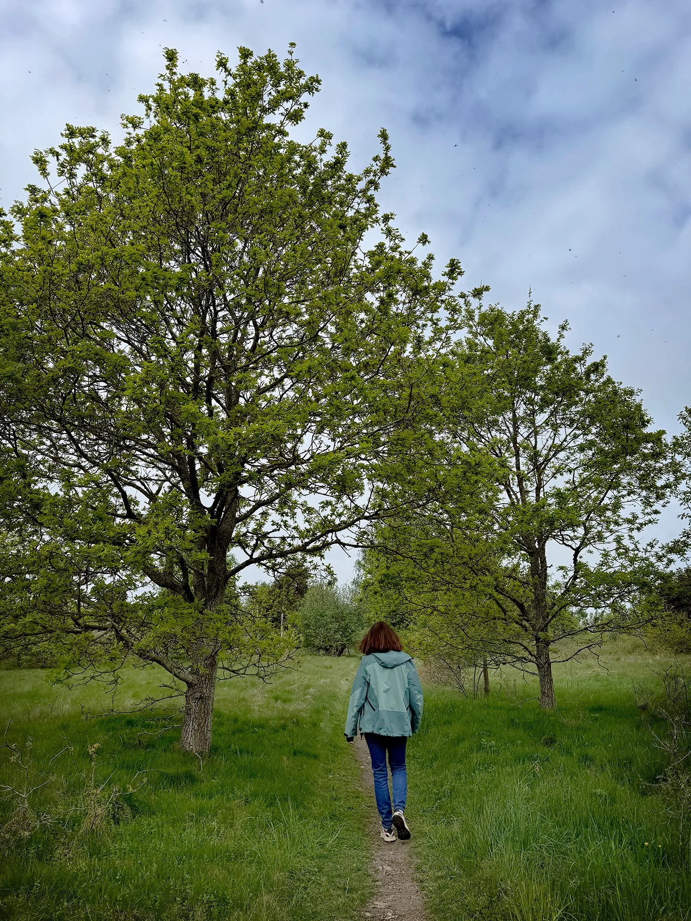 blogg-260522-anneth-promenad-6.jpg