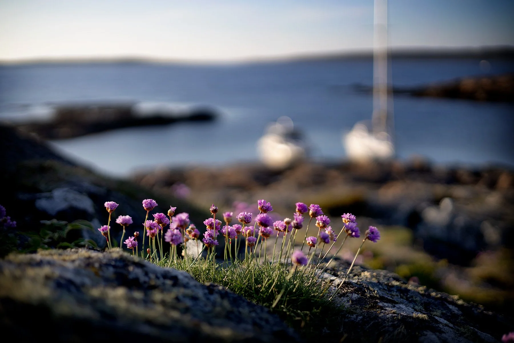 blogg-260522sunnero6.jpg