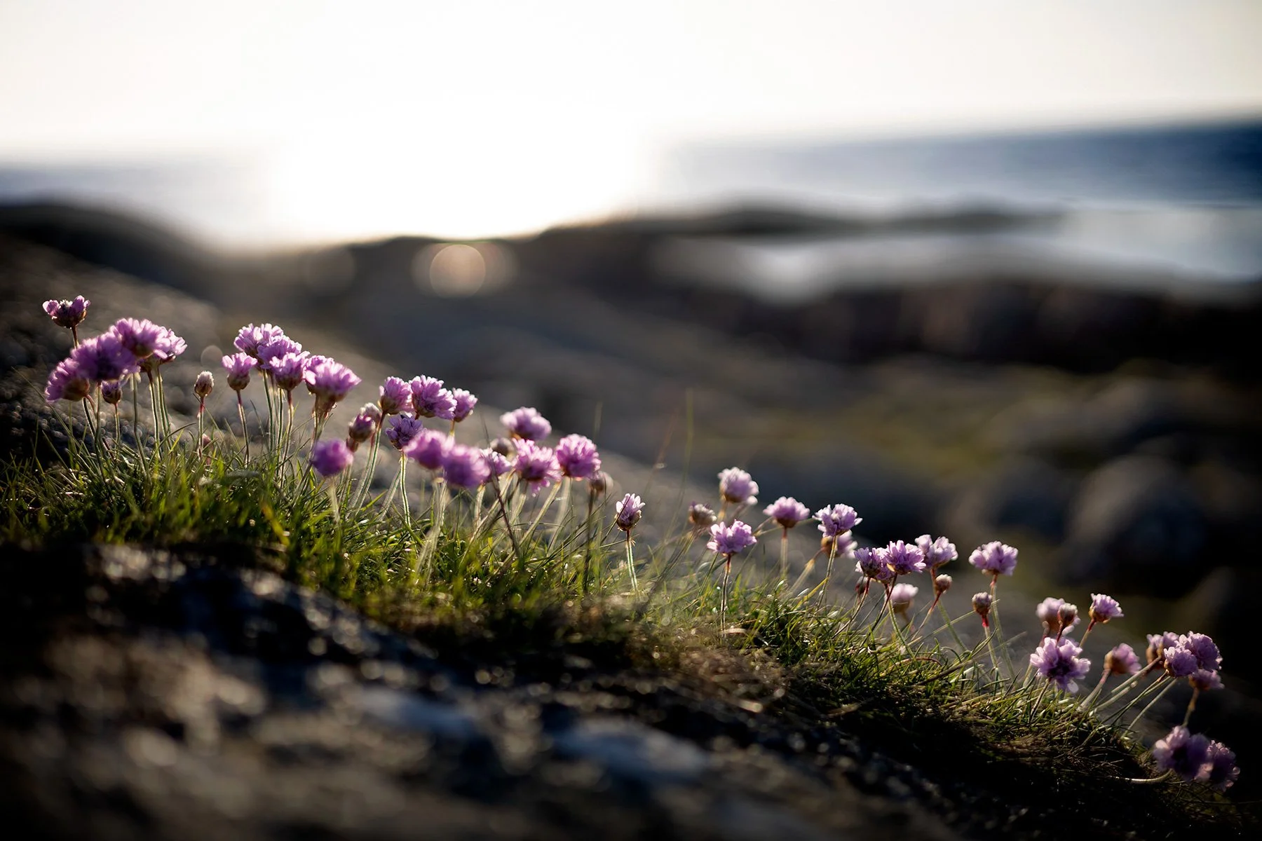 blogg-260522sunnero8.jpg