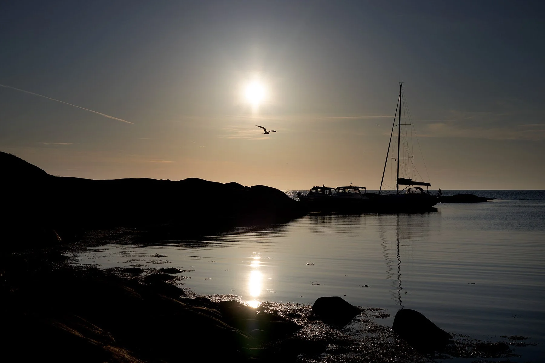 blogg-260522sunnero13.jpg