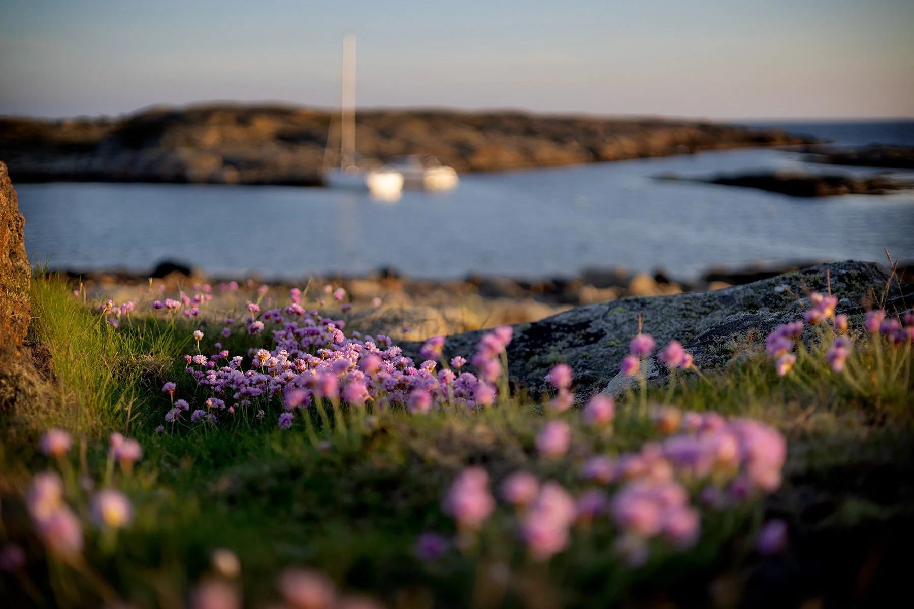 blogg-260522sunnero14.jpg