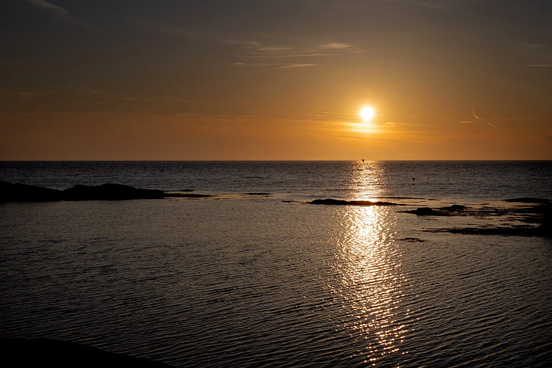 blogg-260522sunnero16.jpg