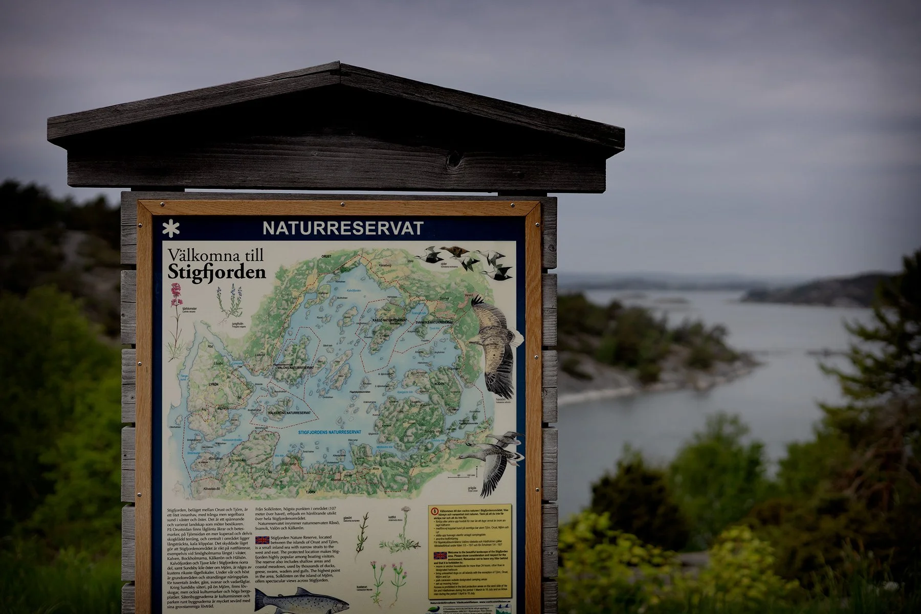 blogg-260523-stigfjorden-3.jpg