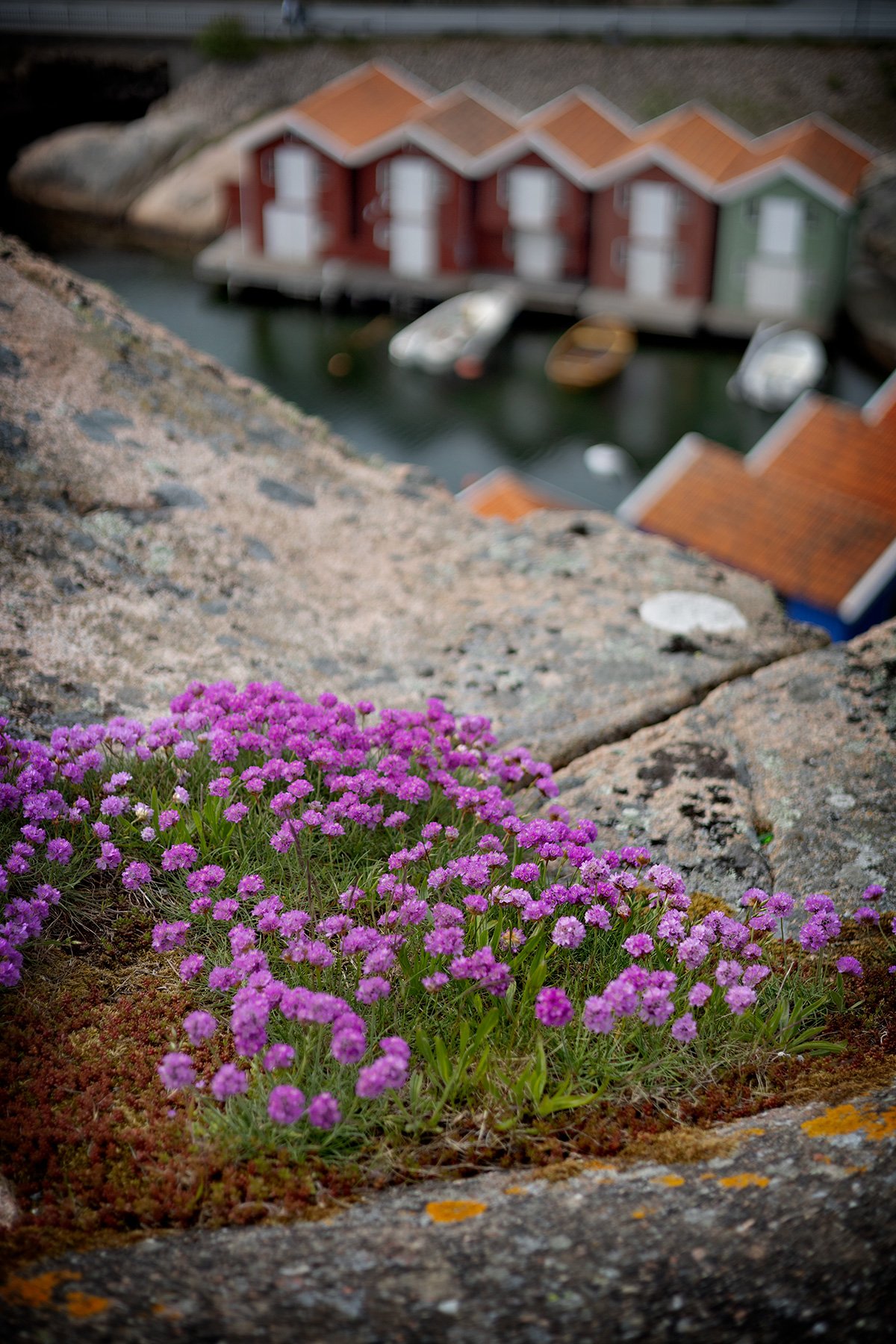 blogg-260524-smogen-minigolf-extra5.jpg