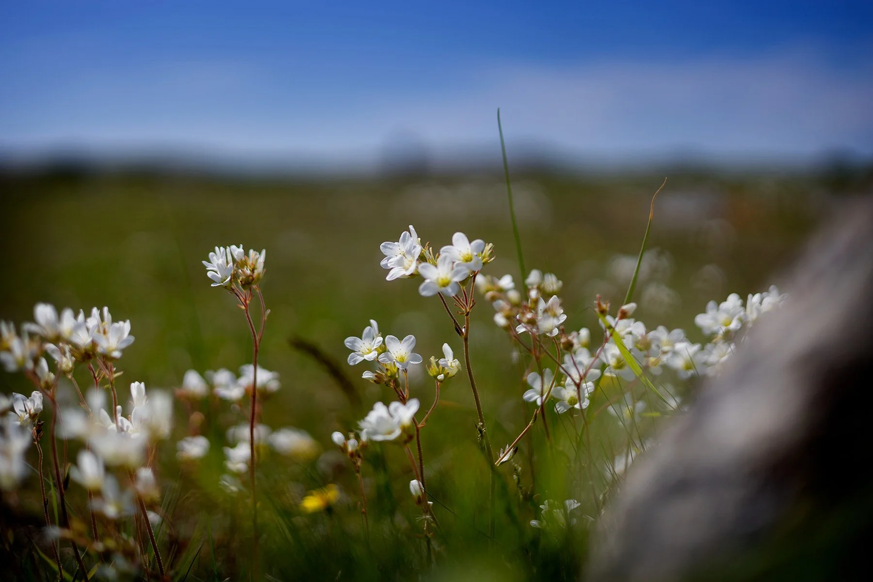 blogg-260524-sotenaskanalen-8.jpg