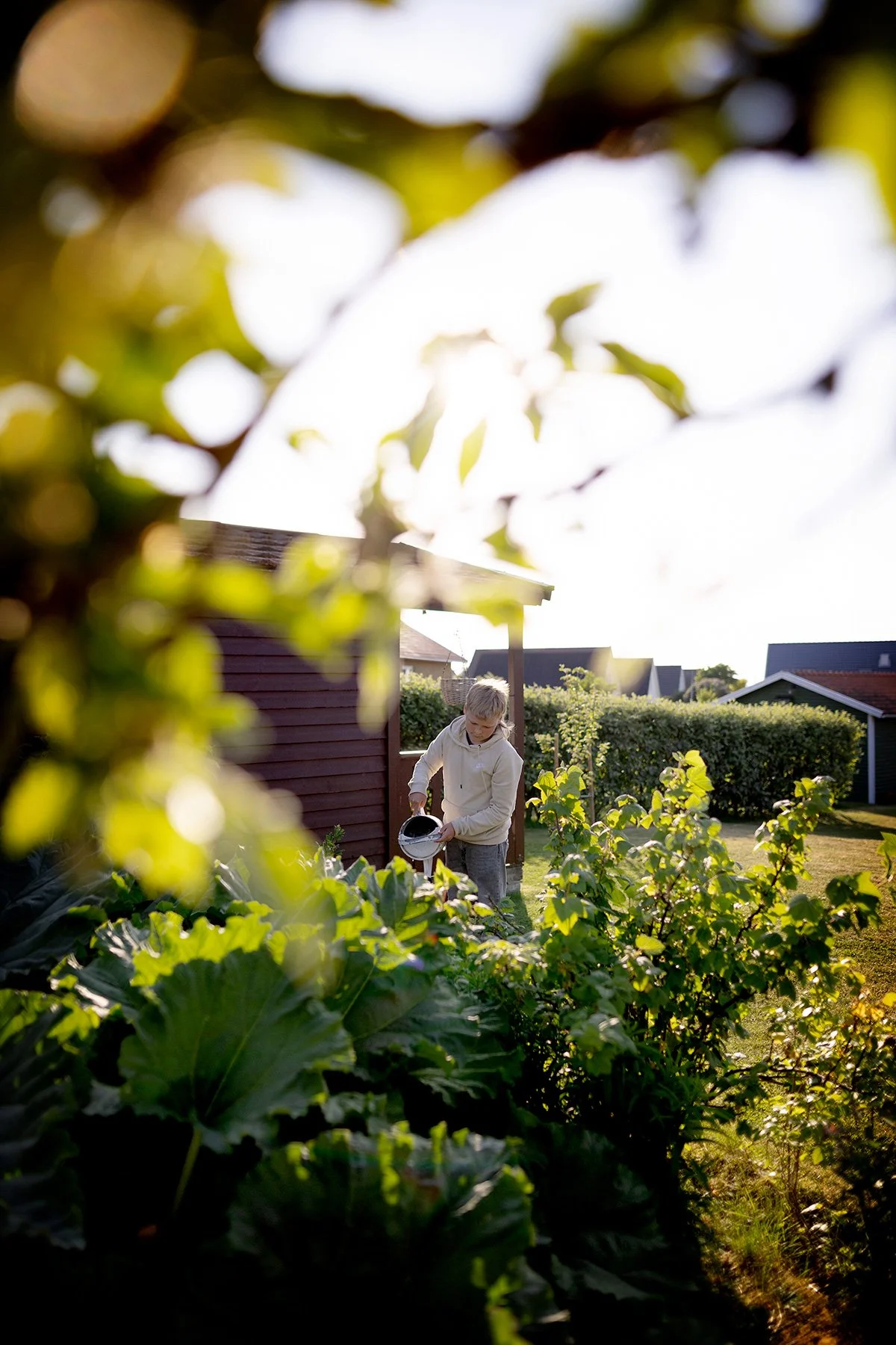 blogg-260602-tradgarden-vattning-3.jpg