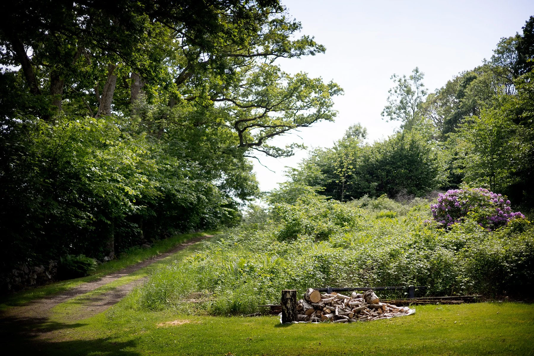 blogg-260607-ved-i-ambjorntorp-6.jpg
