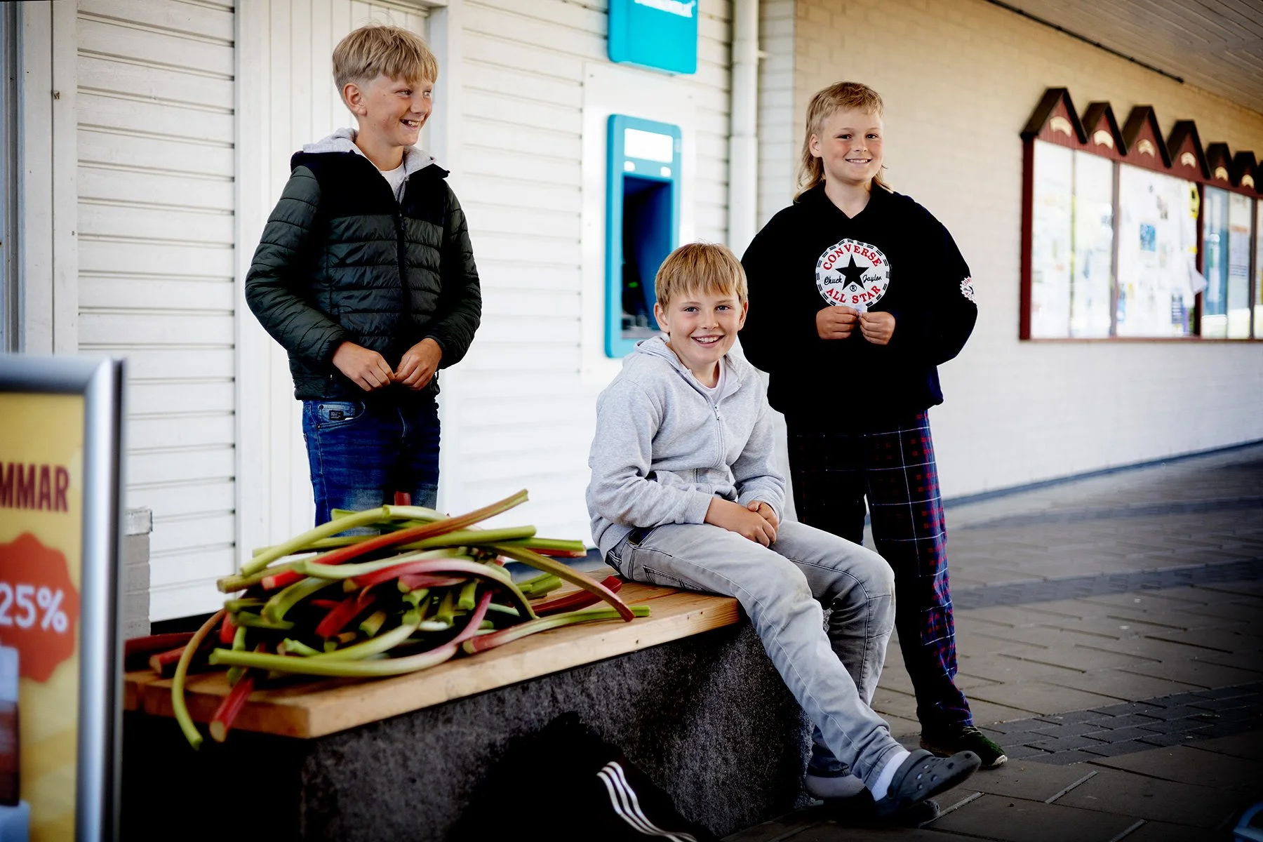 blogg-260610-rabarber-17.jpg