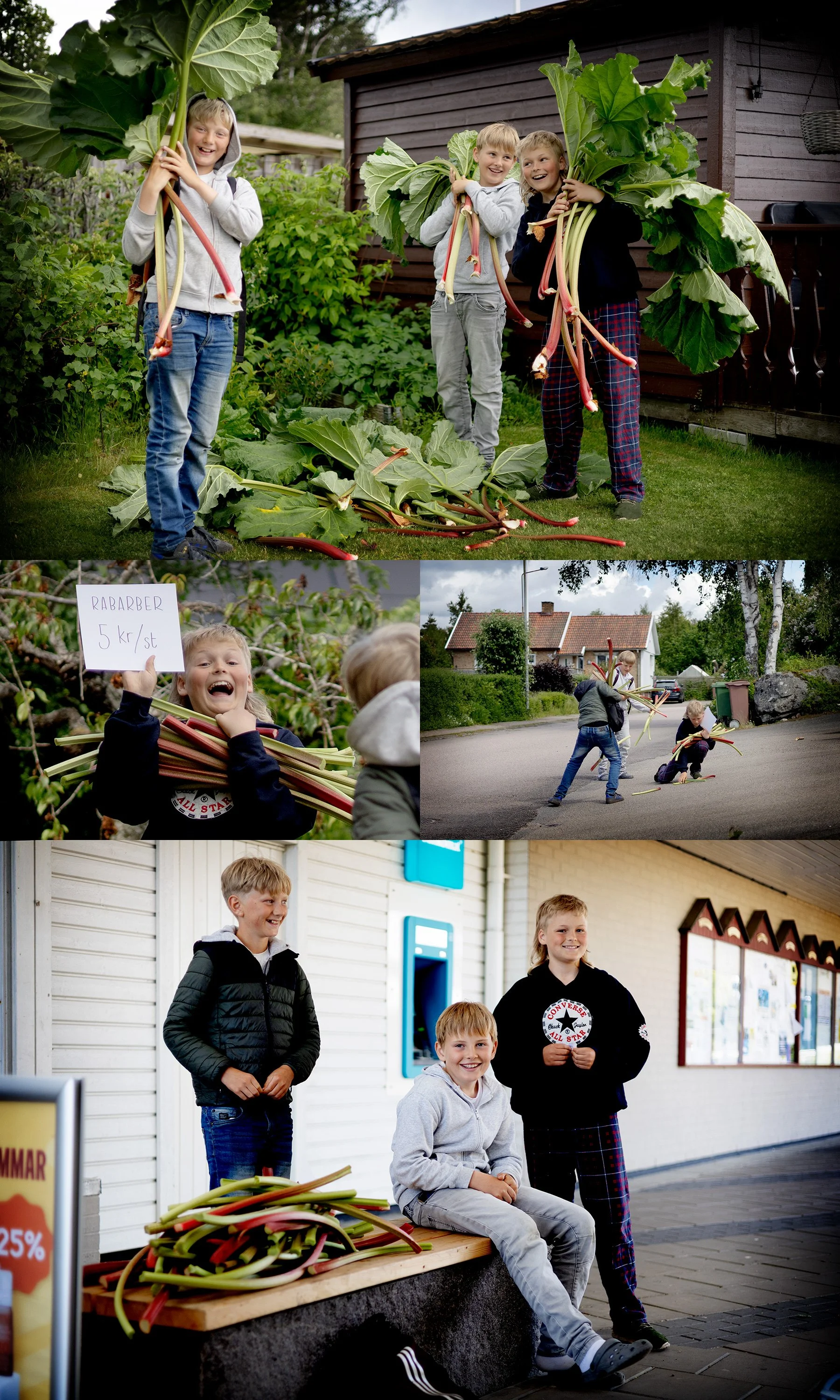 Rabarberförsäljare