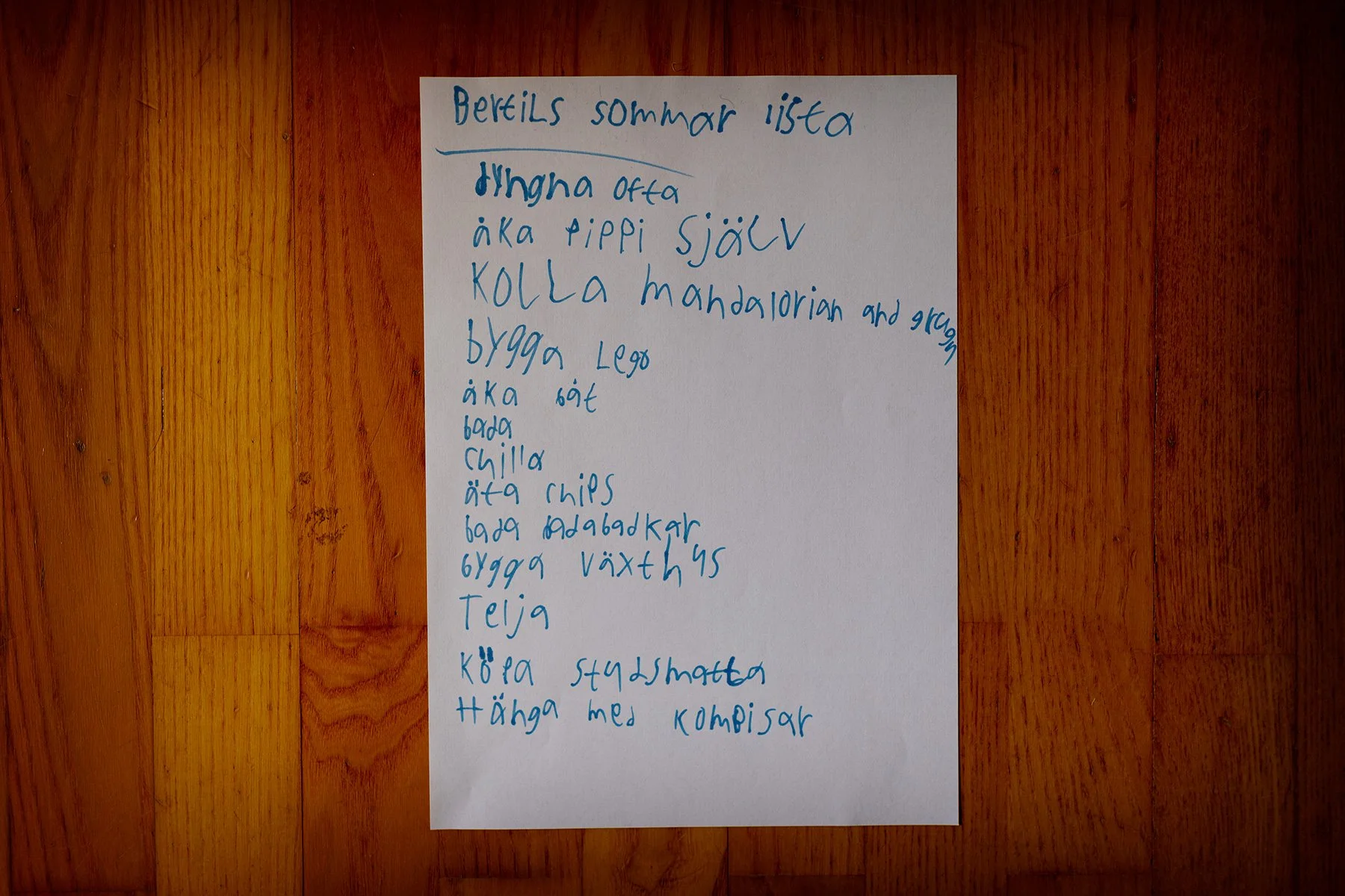 blogg-260612-sommarlov-2.jpg