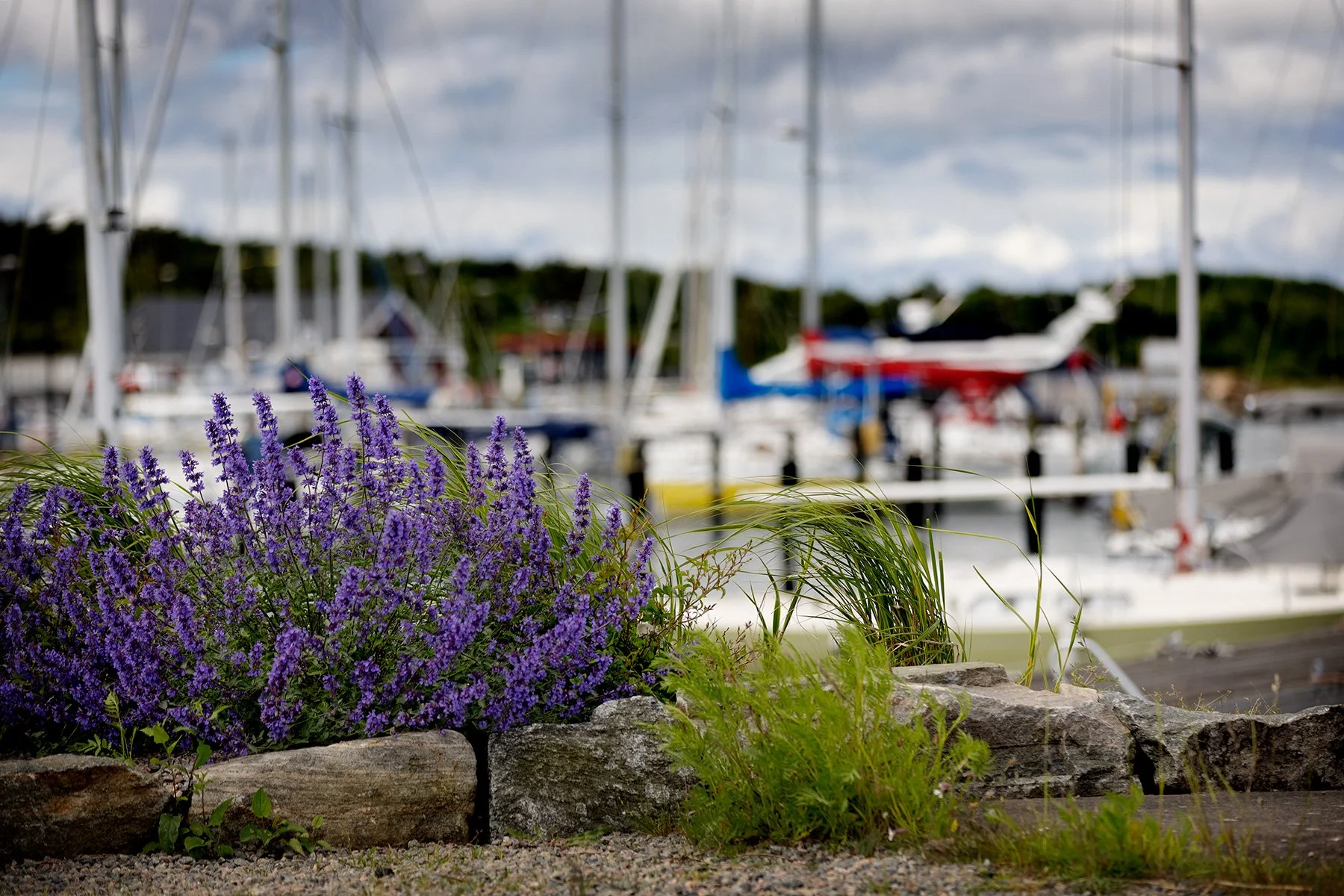 blogg-260615-seglarskola-7.jpg