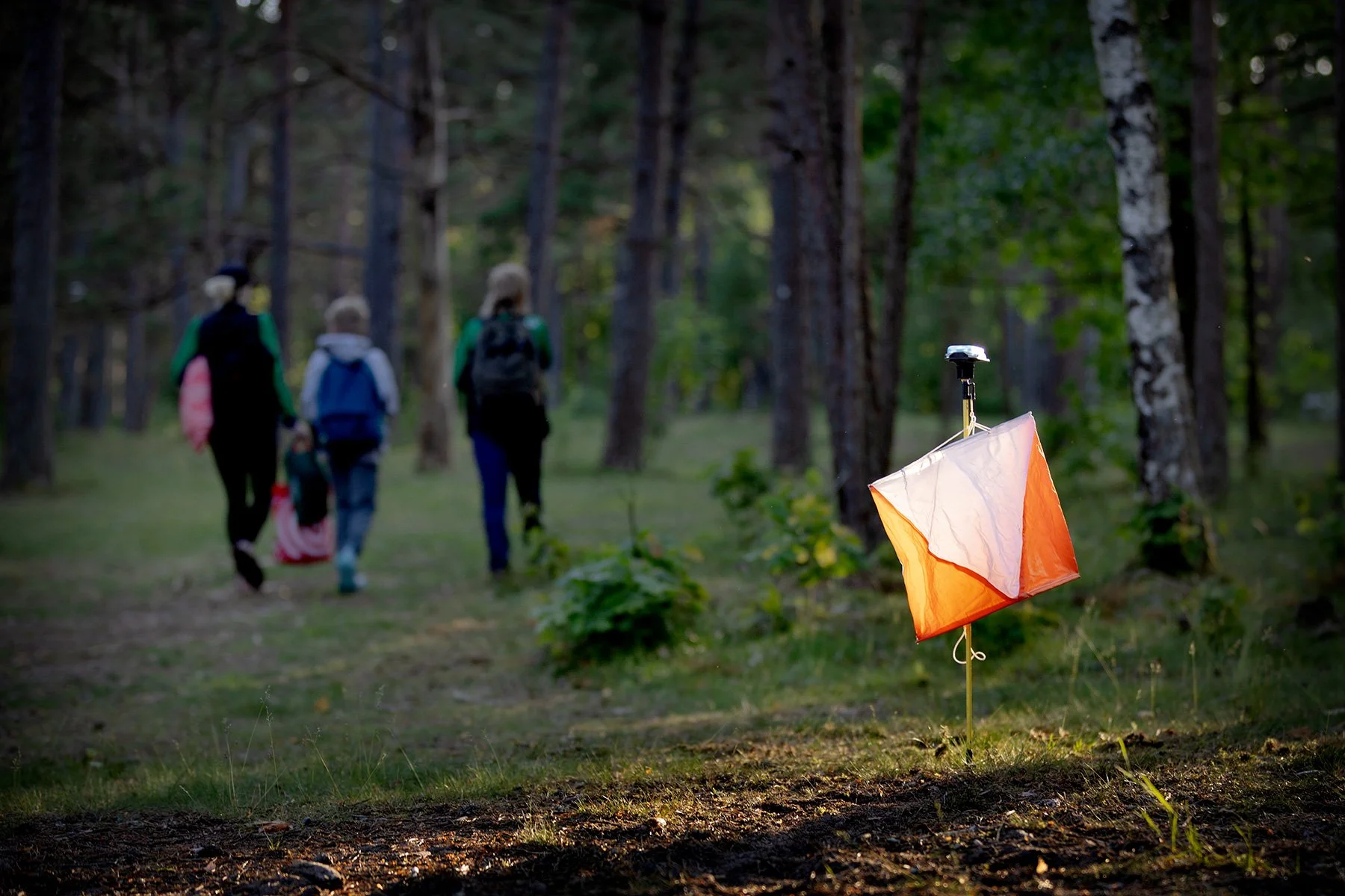 blogg-260616-minitjoget-54.jpg