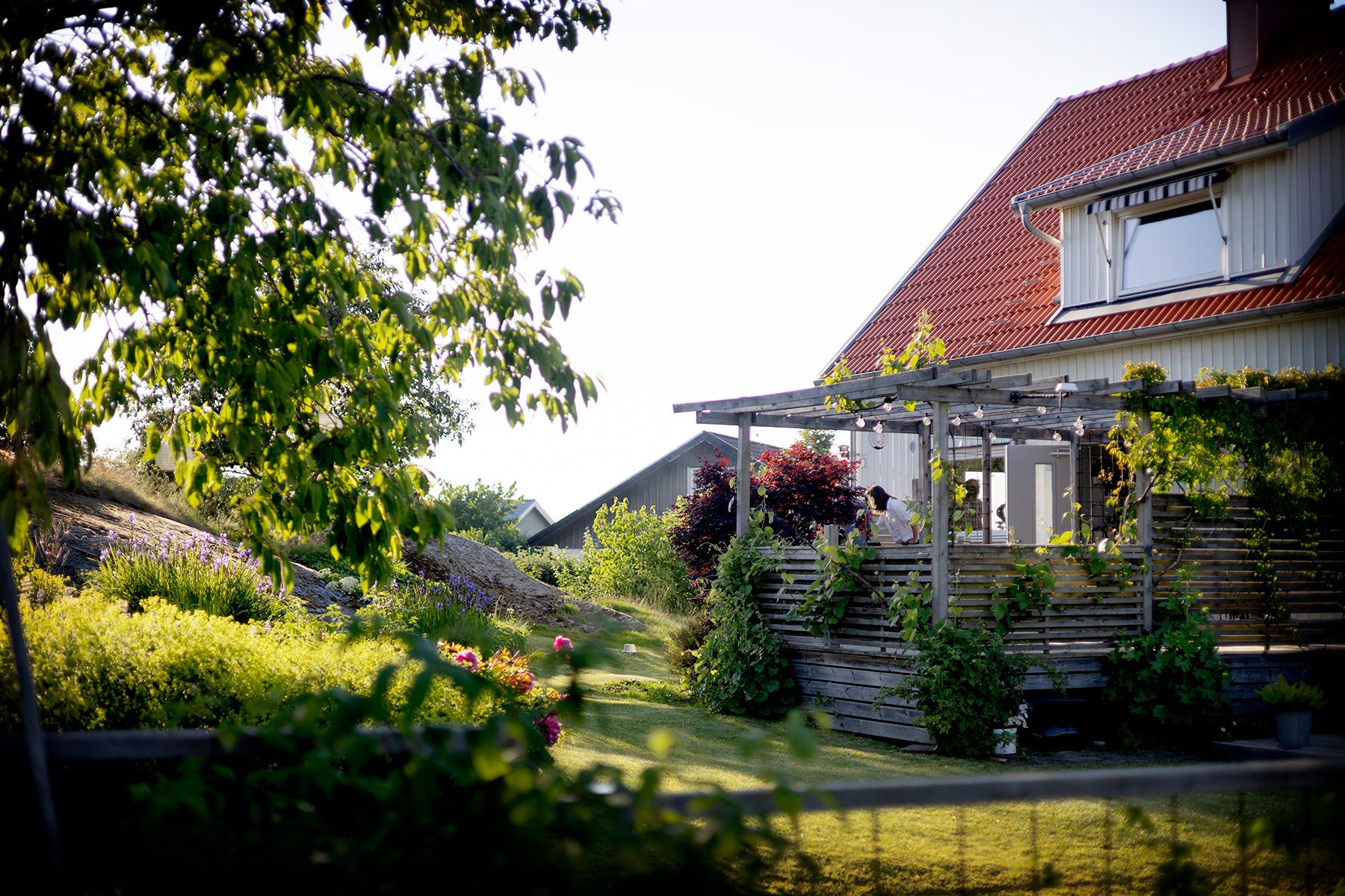 blogg-260619-midsommar-tross-7.jpg