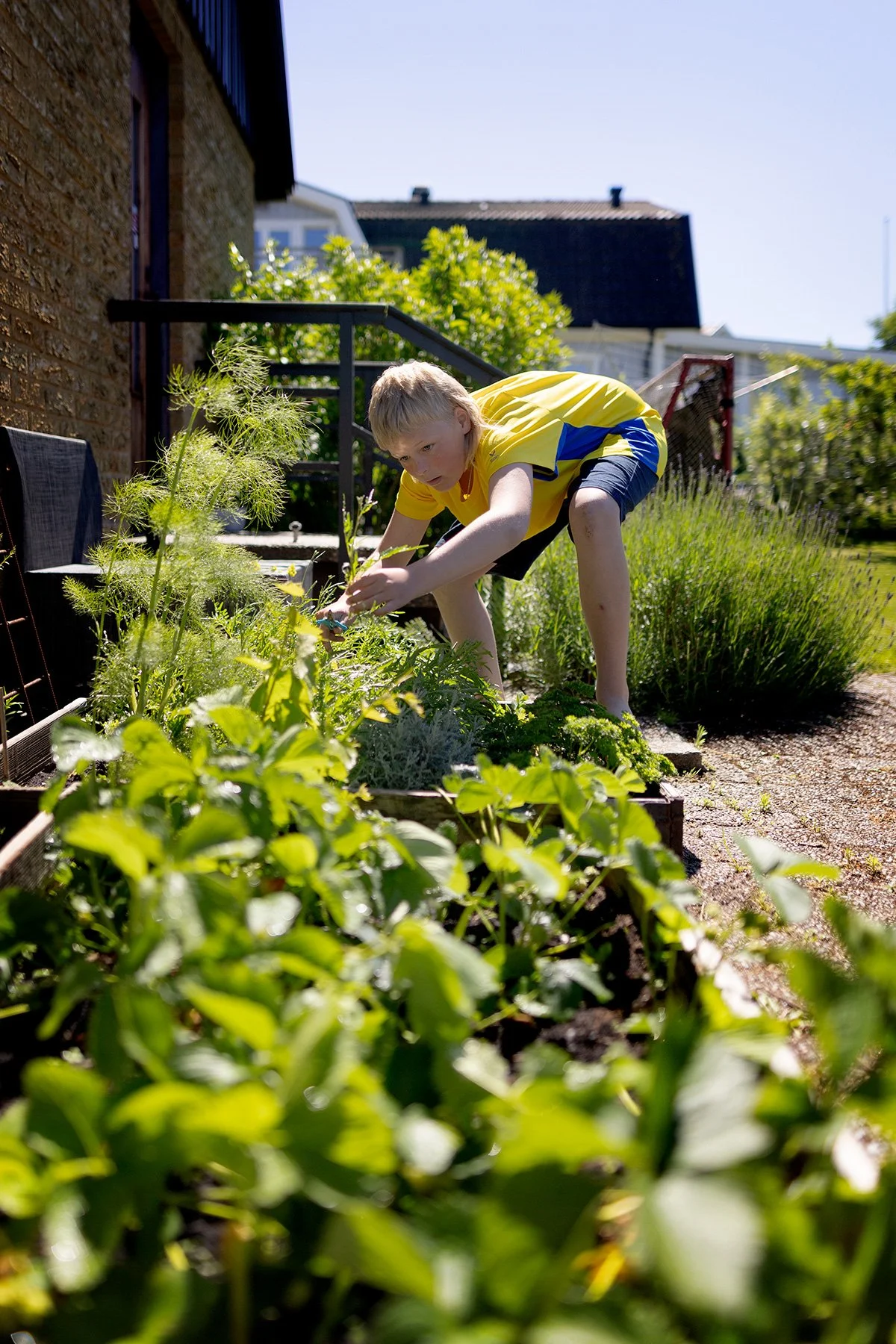 blogg-260621-tradgarden-2.jpg