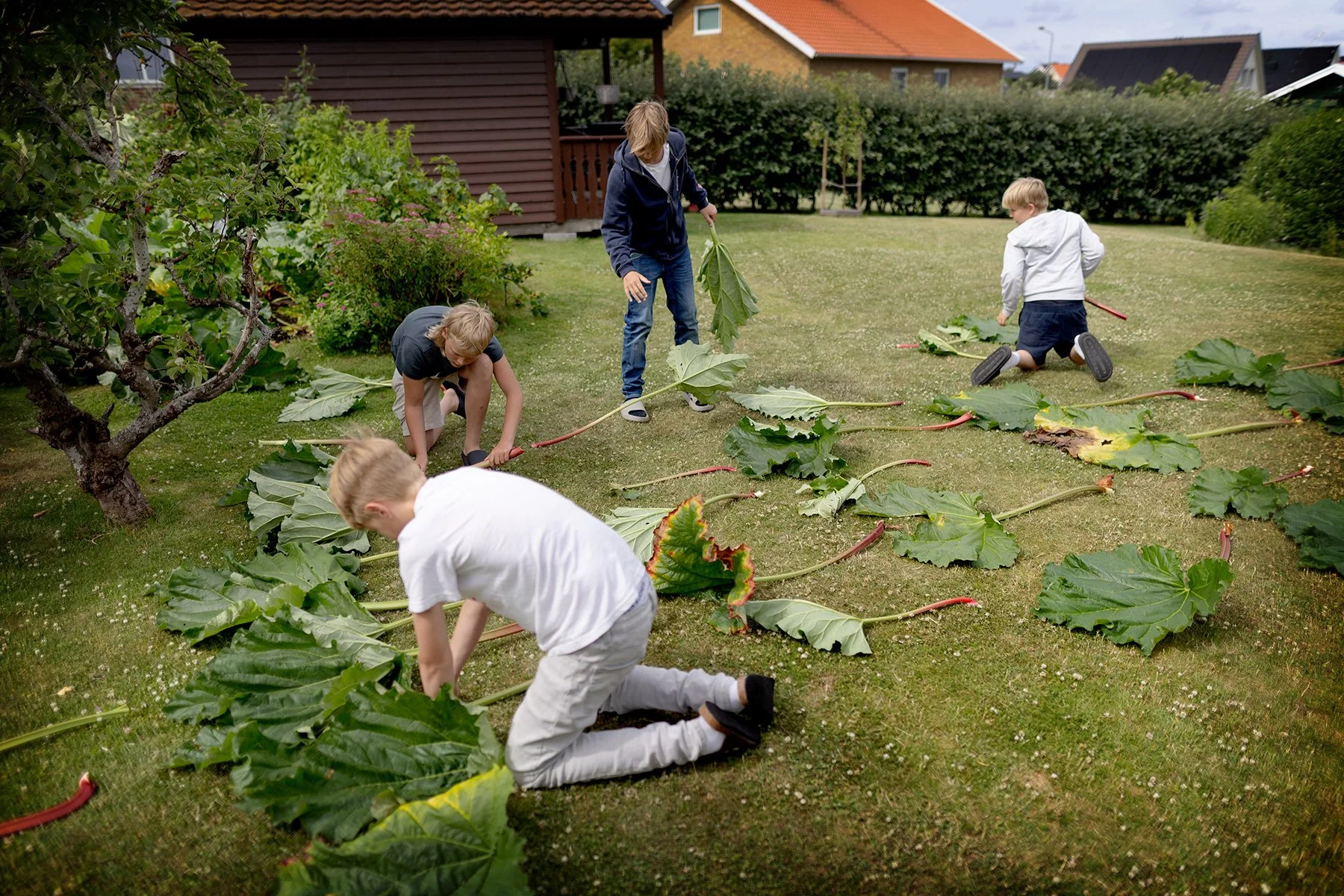 blogg-260630-rarberkillar-1.jpg