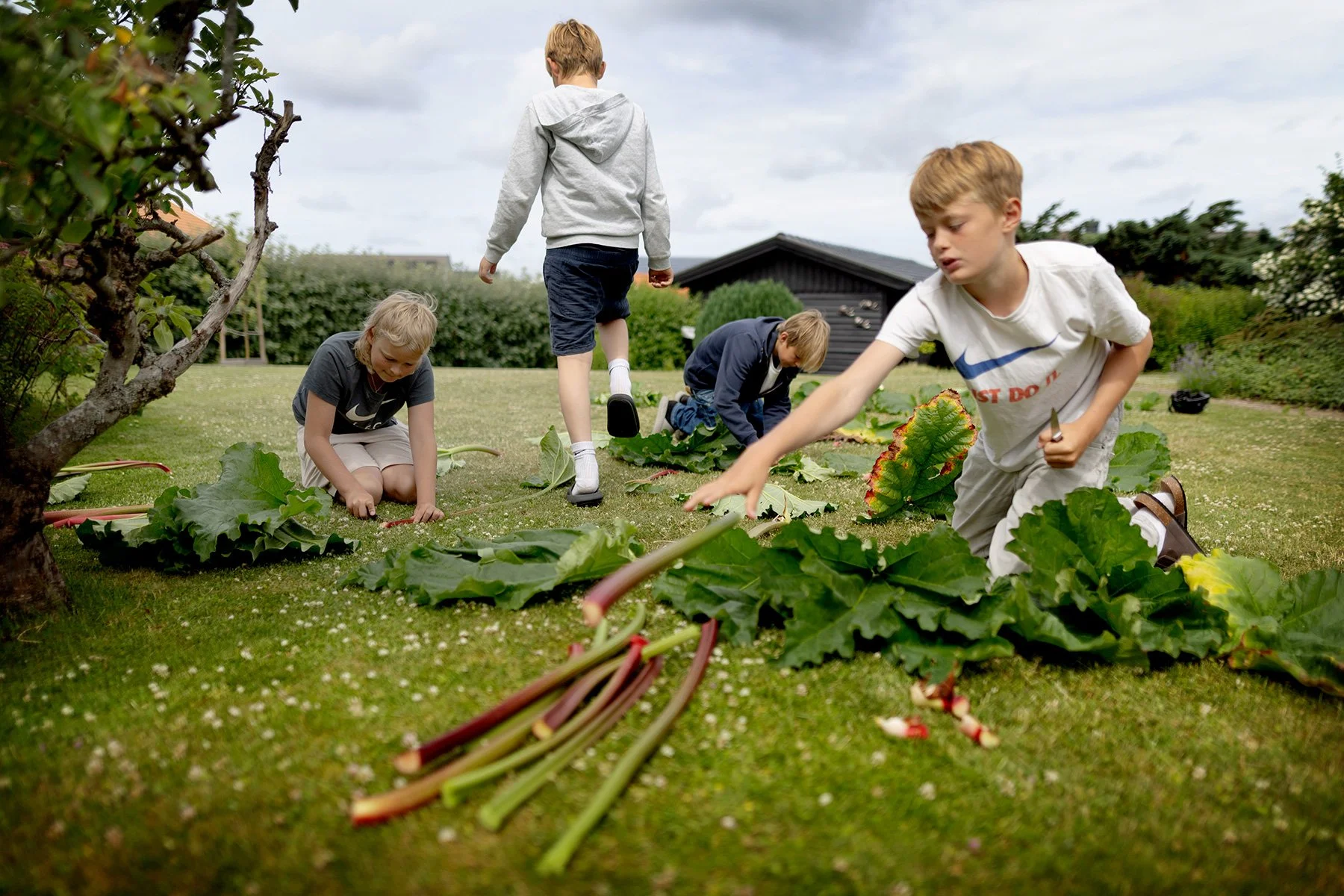 Rabarberentreprenörerna