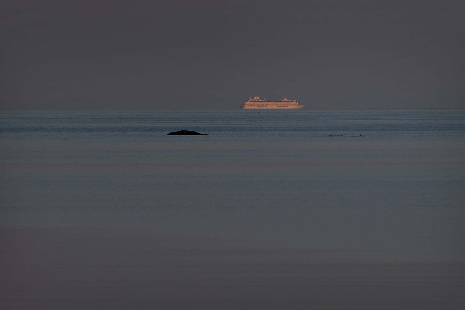 blogg-260717-bockholmen-2.jpg