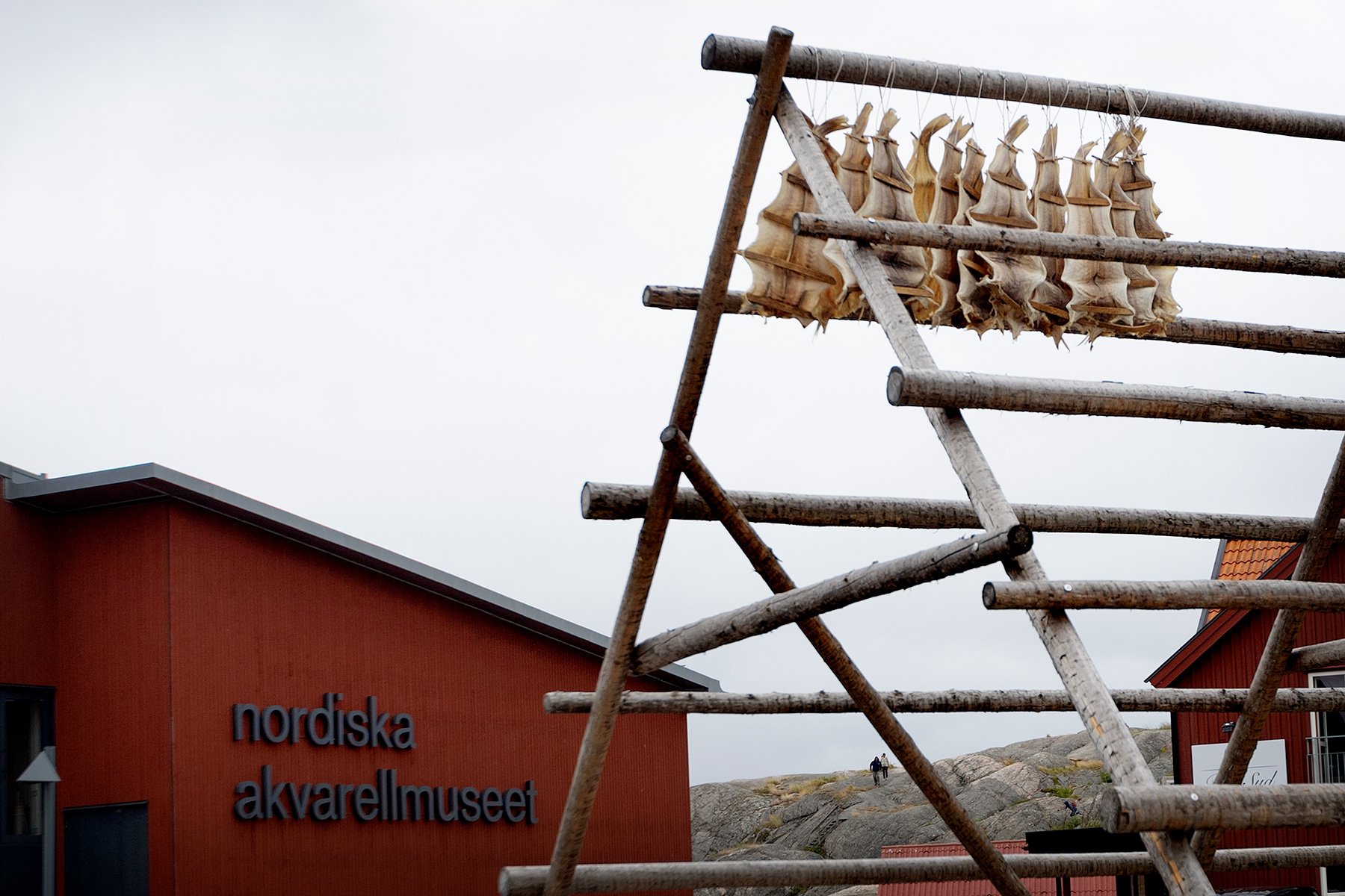blogg-260719-skarhamn-2.jpg