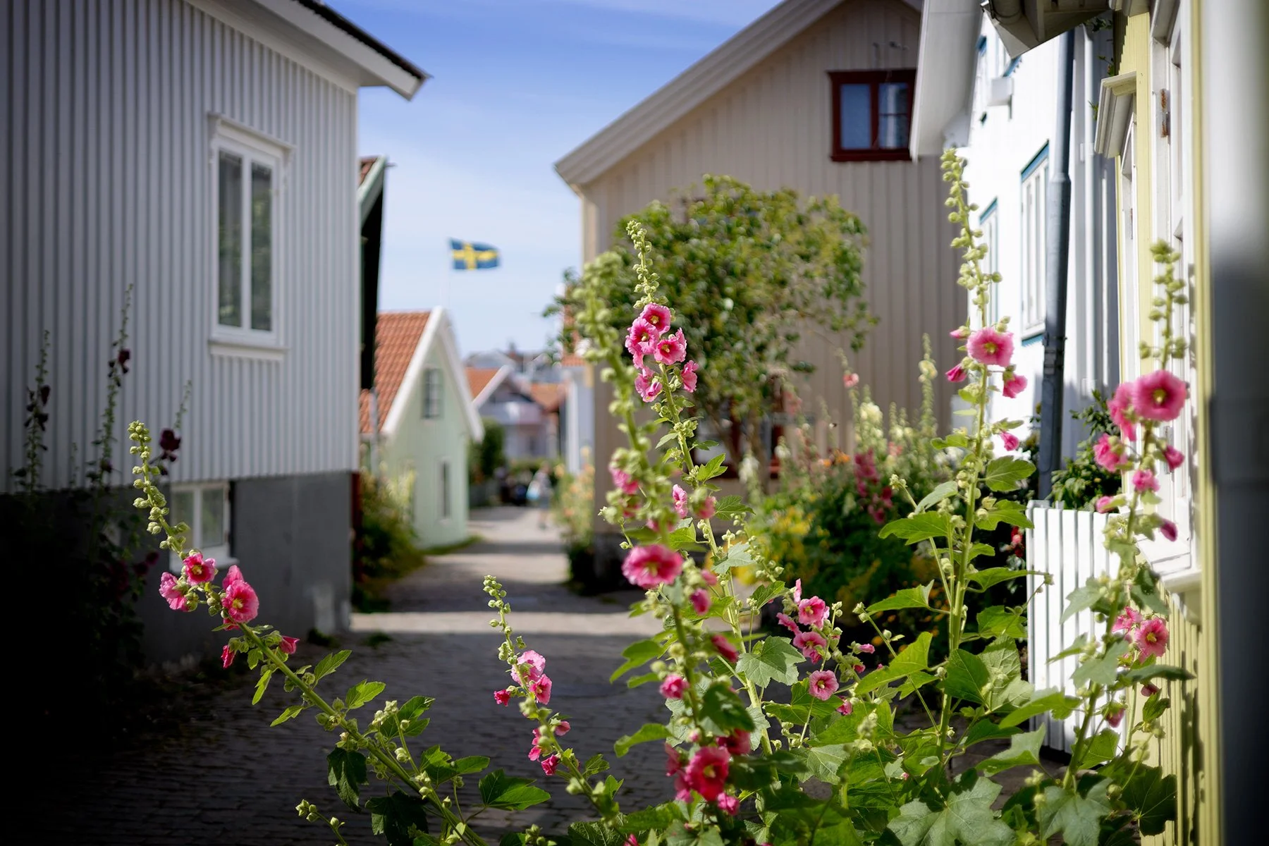blogg-260721-mollosund-1.jpg