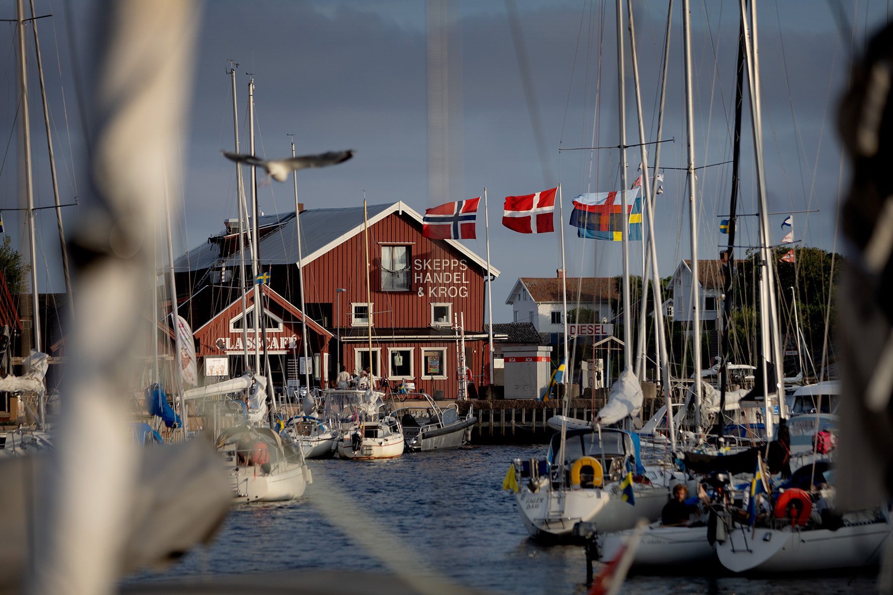 blogg-260721-mollosund-14.jpg