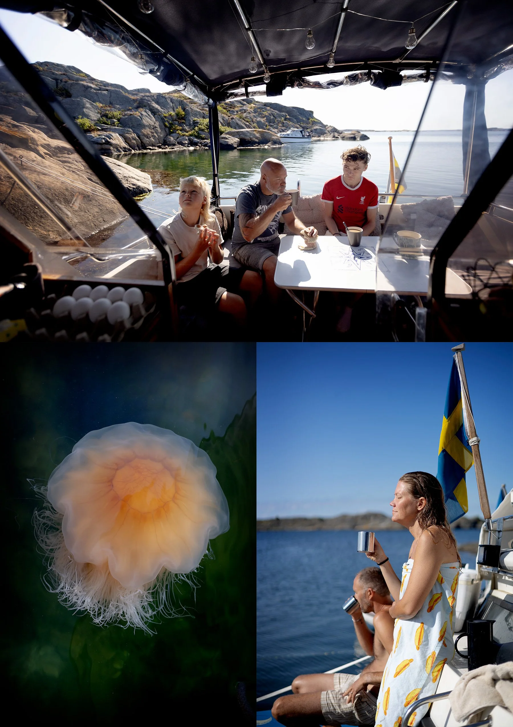 Morgonfrid