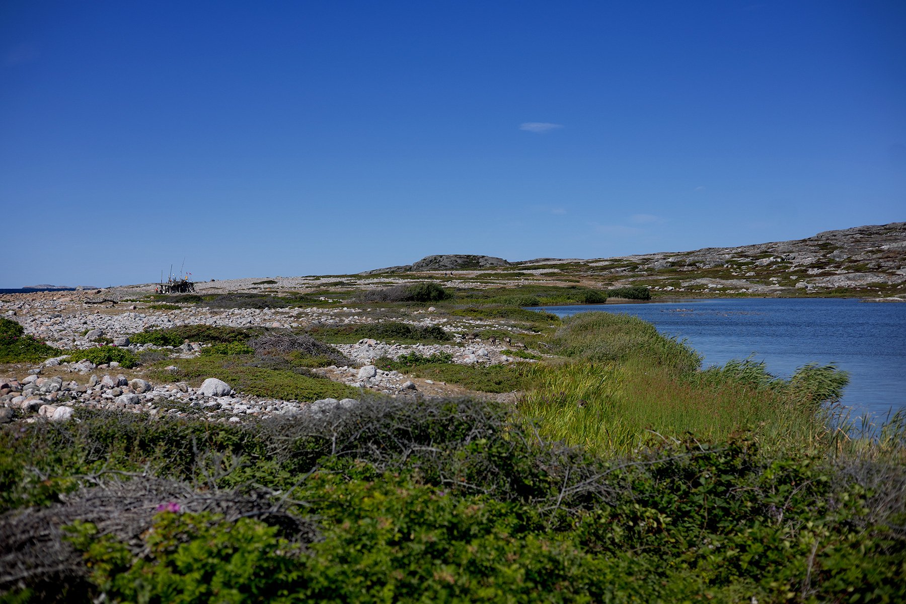 blogg-260723-roro-16.jpg
