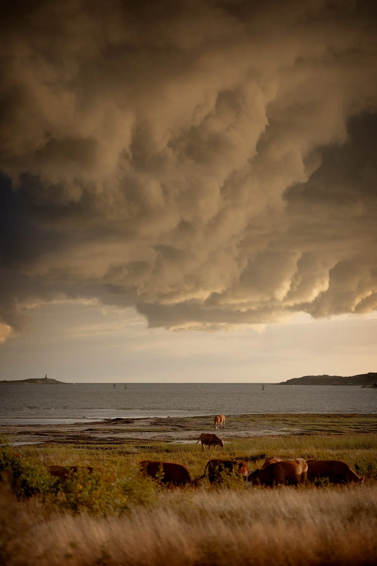 Himmel över gattet
