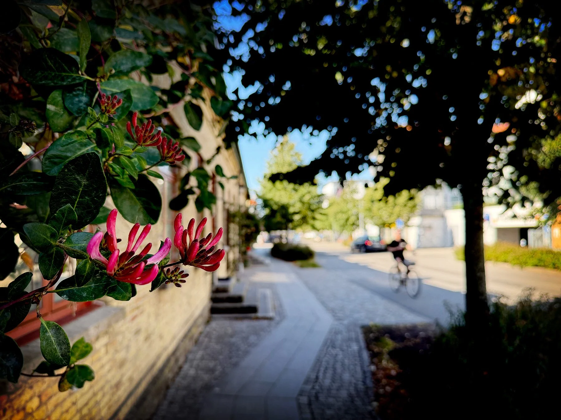 blogg-260801-varberg-15.jpg