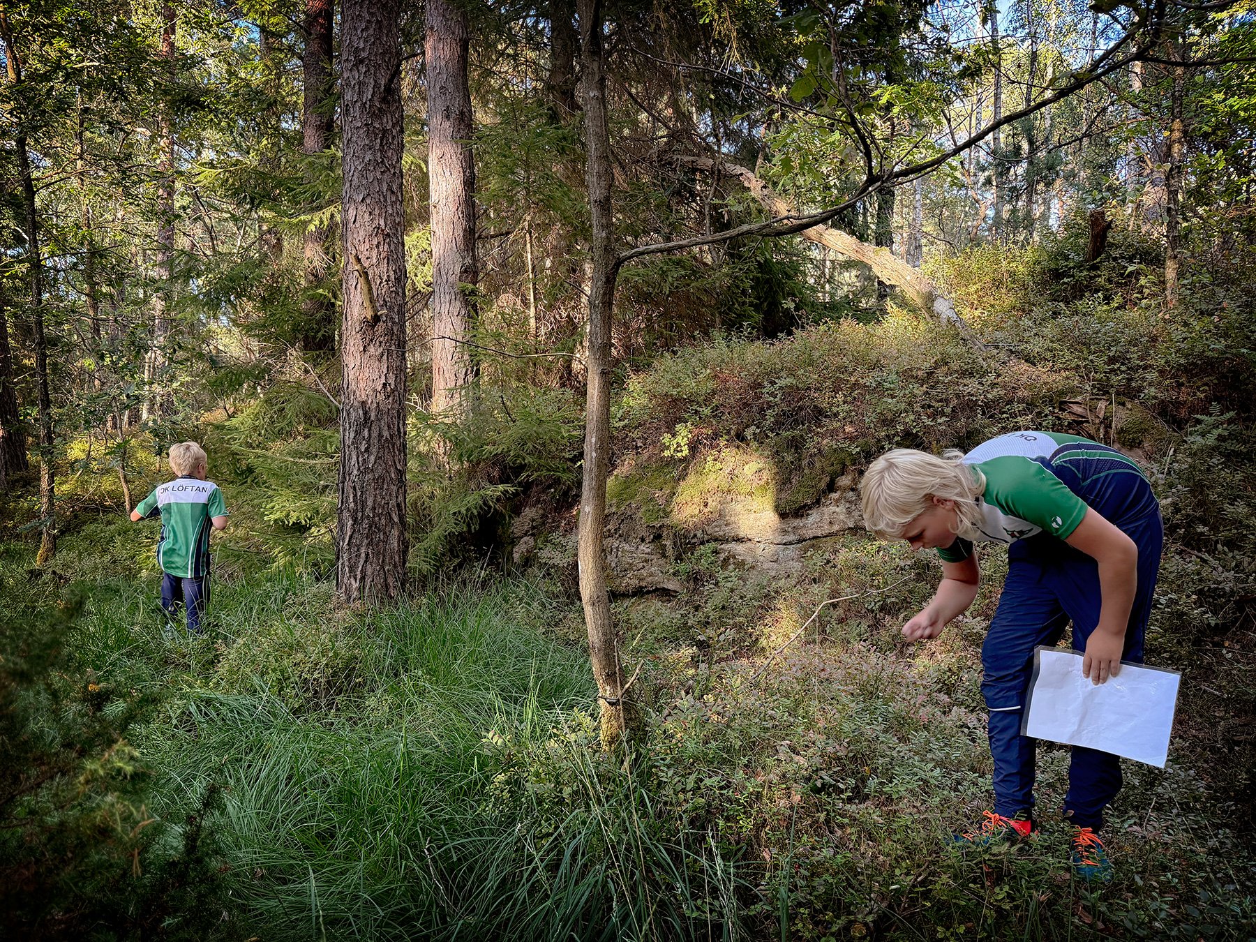blogg-260811-orientering-sjoaremossen-1.jpg