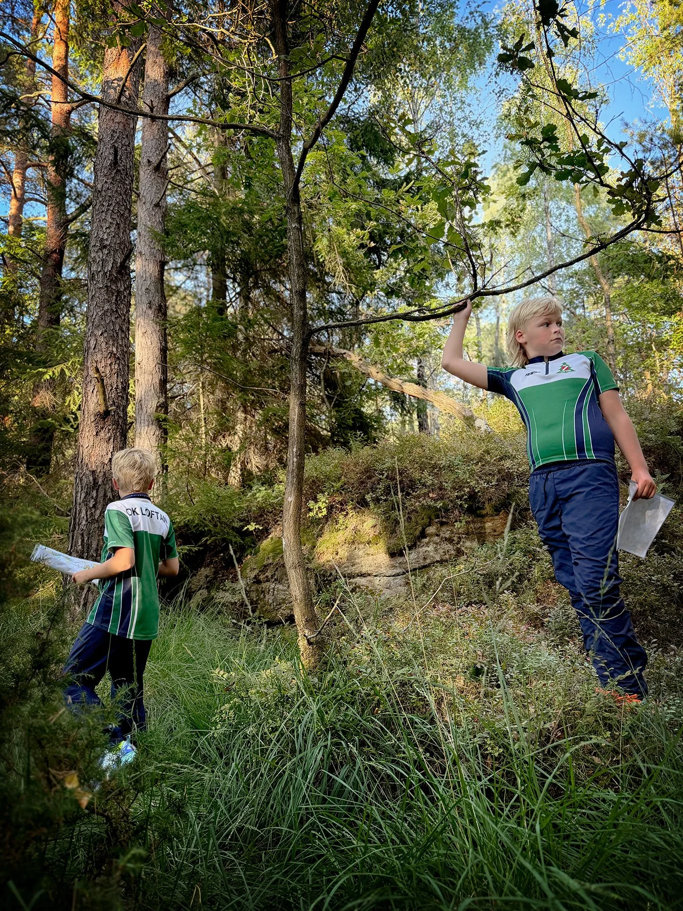 Träningsskogen