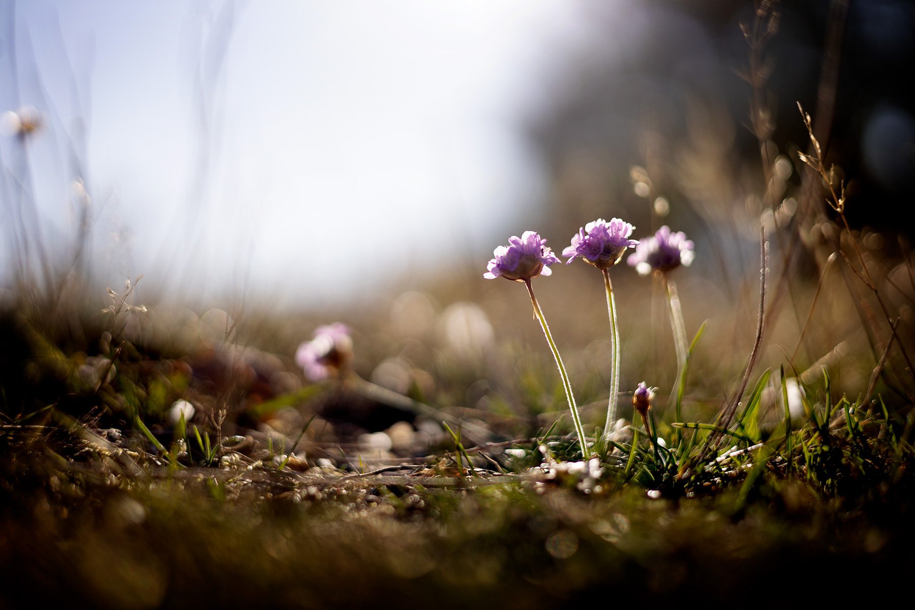 blogg-260825-vendelso-9.jpg