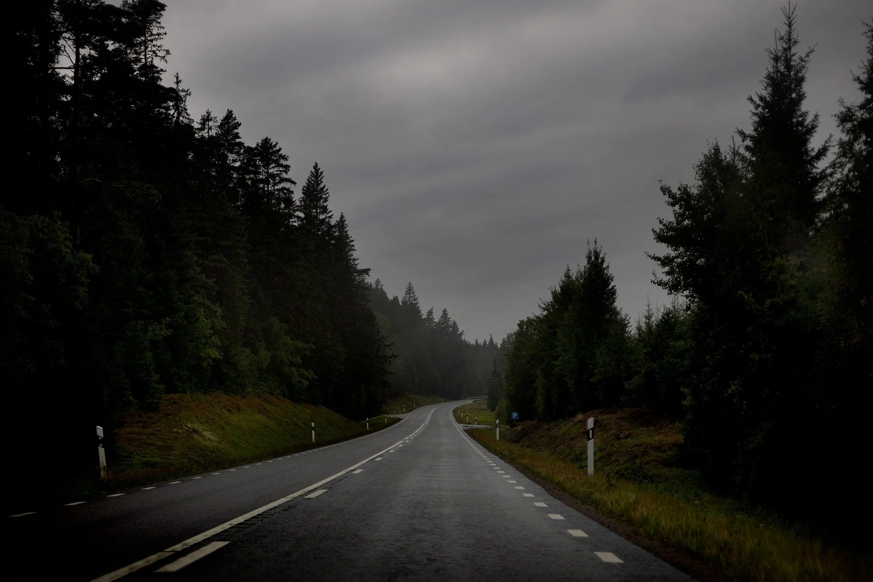 blogg-260830-orientering-dm-stafett-3.jpg