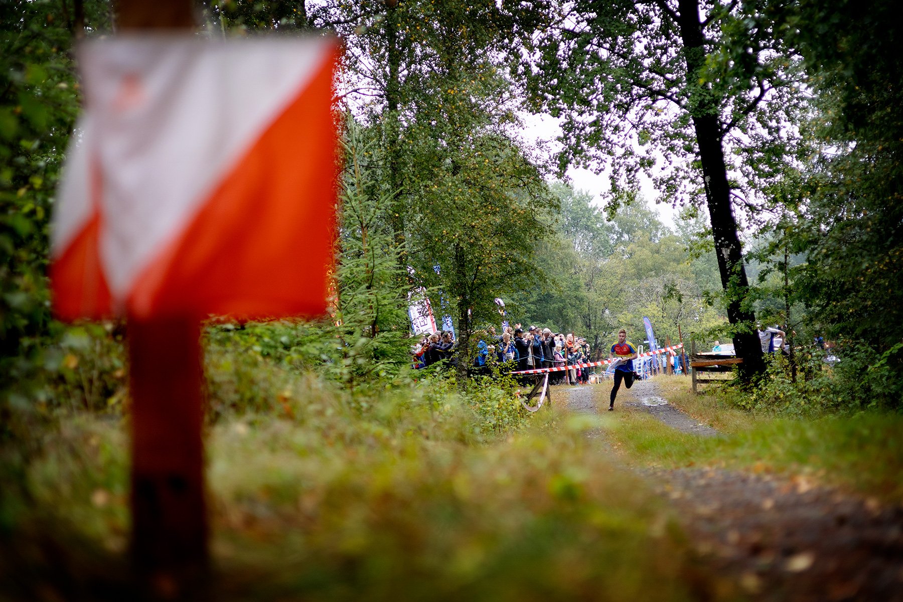 blogg-260830-orientering-dm-stafett-14.jpg