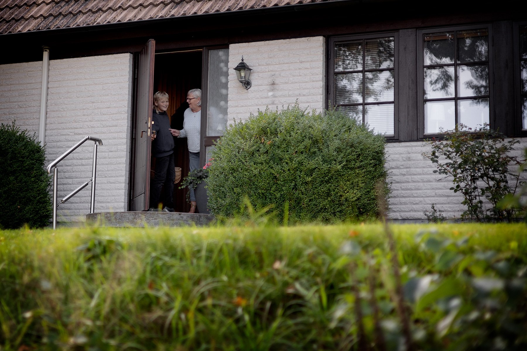 blogg-260913-svampskog-12.jpg