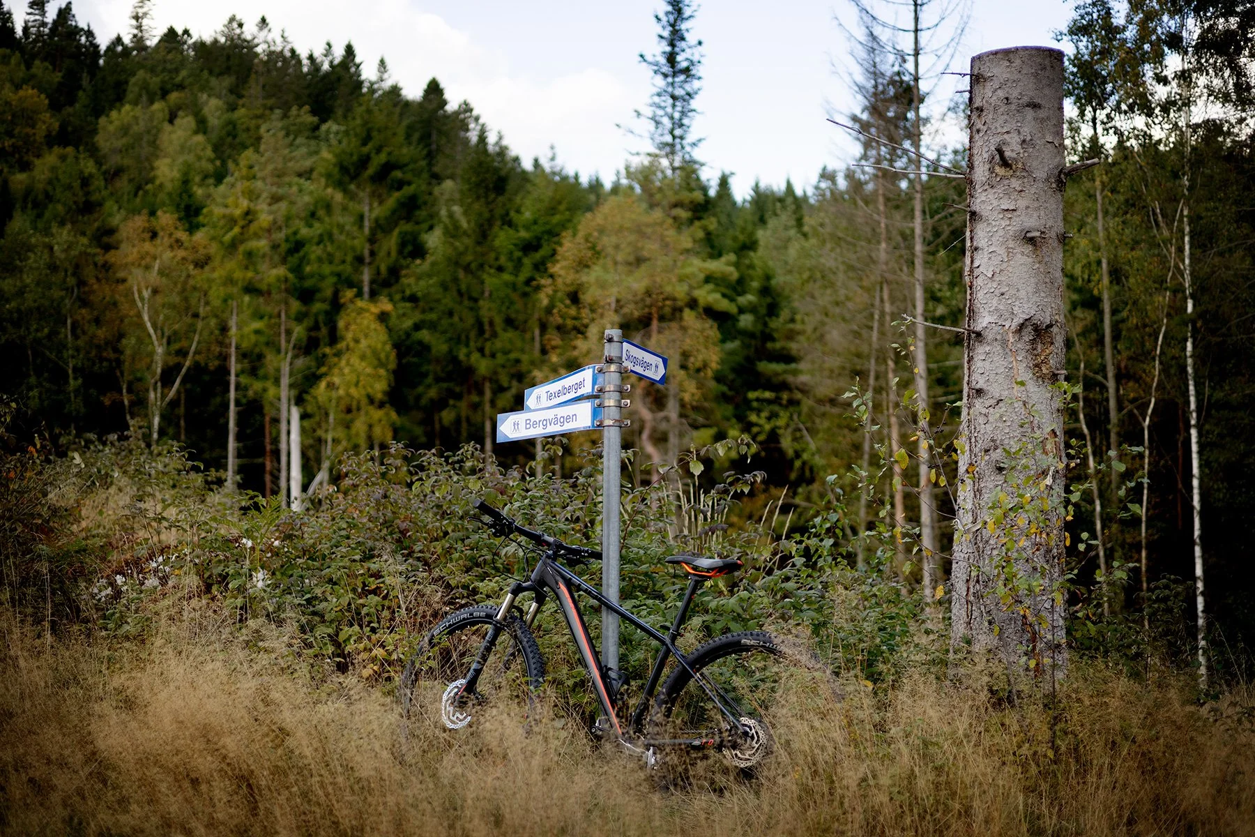 blogg-260927-texelberget-2.jpg
