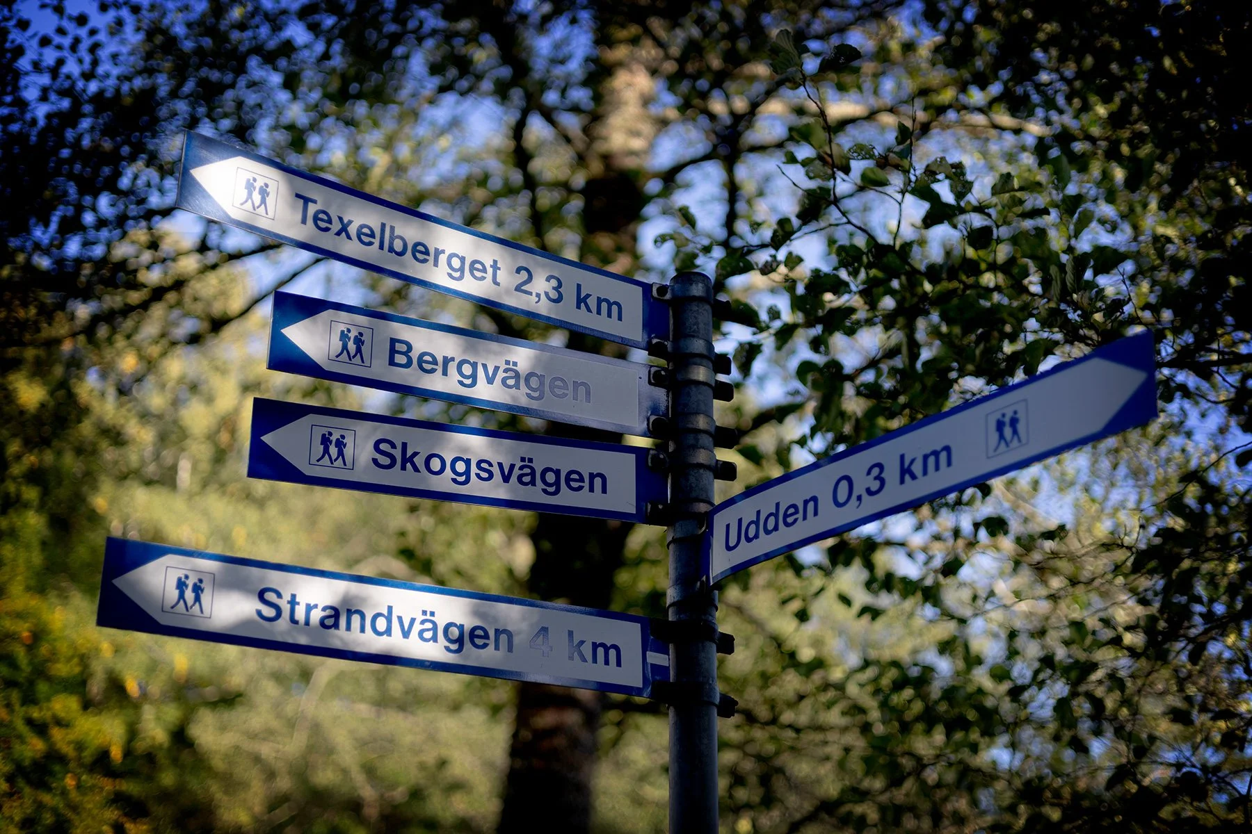 blogg-260927-texelberget-39.jpg