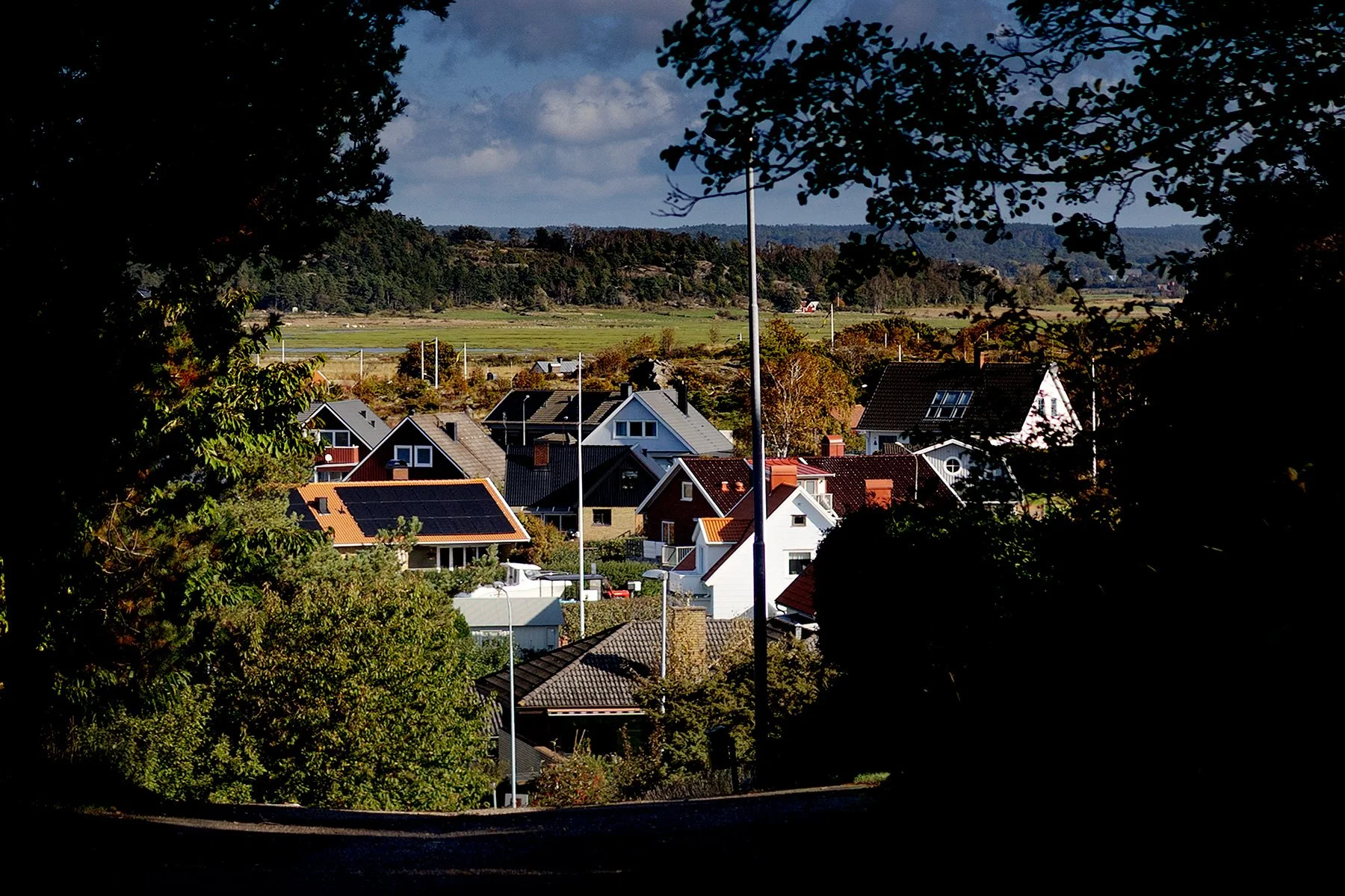 blogg-261003-buaskogen-1.jpg