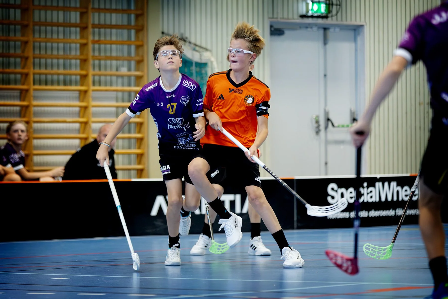 blogg-261018-varla-bua-bertil-19.jpg