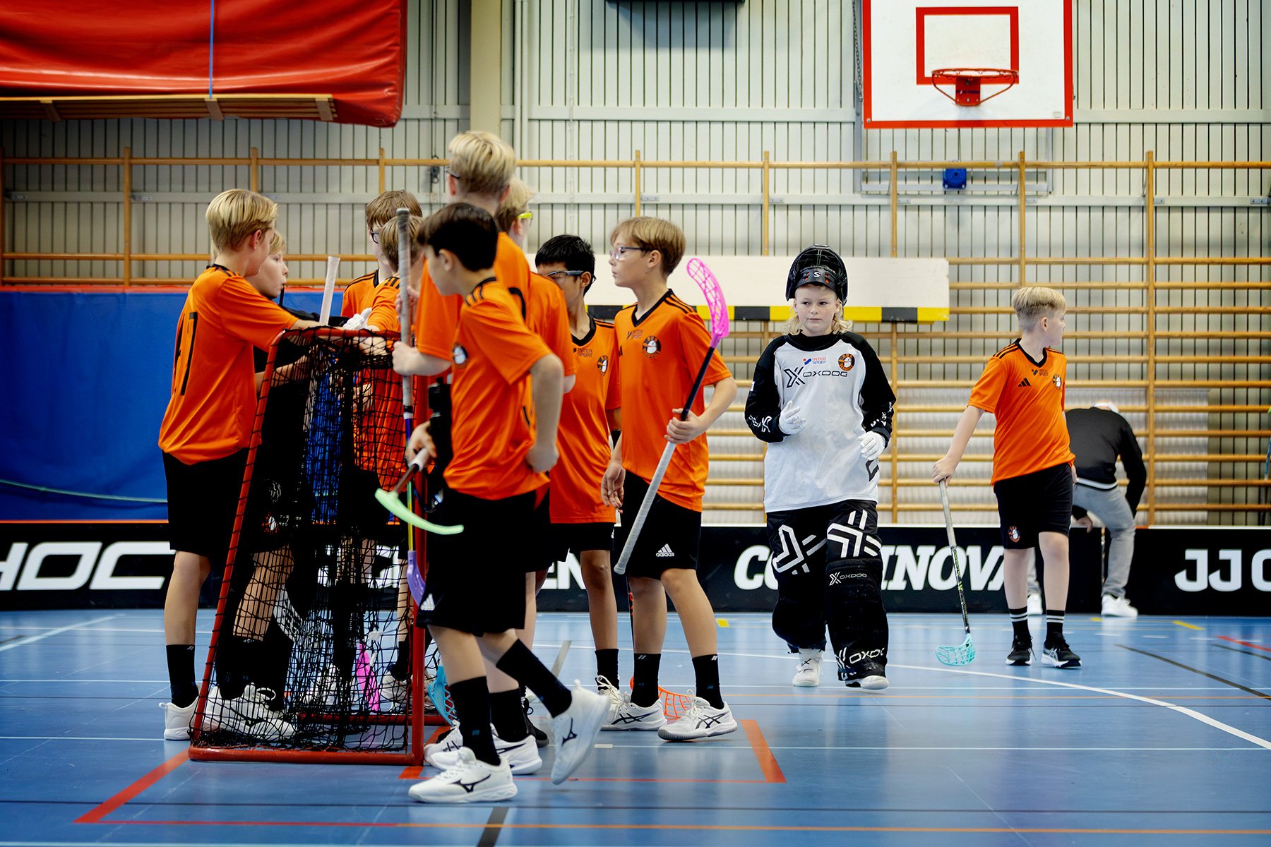 blogg-261018-varla-bua-bertil-24.jpg