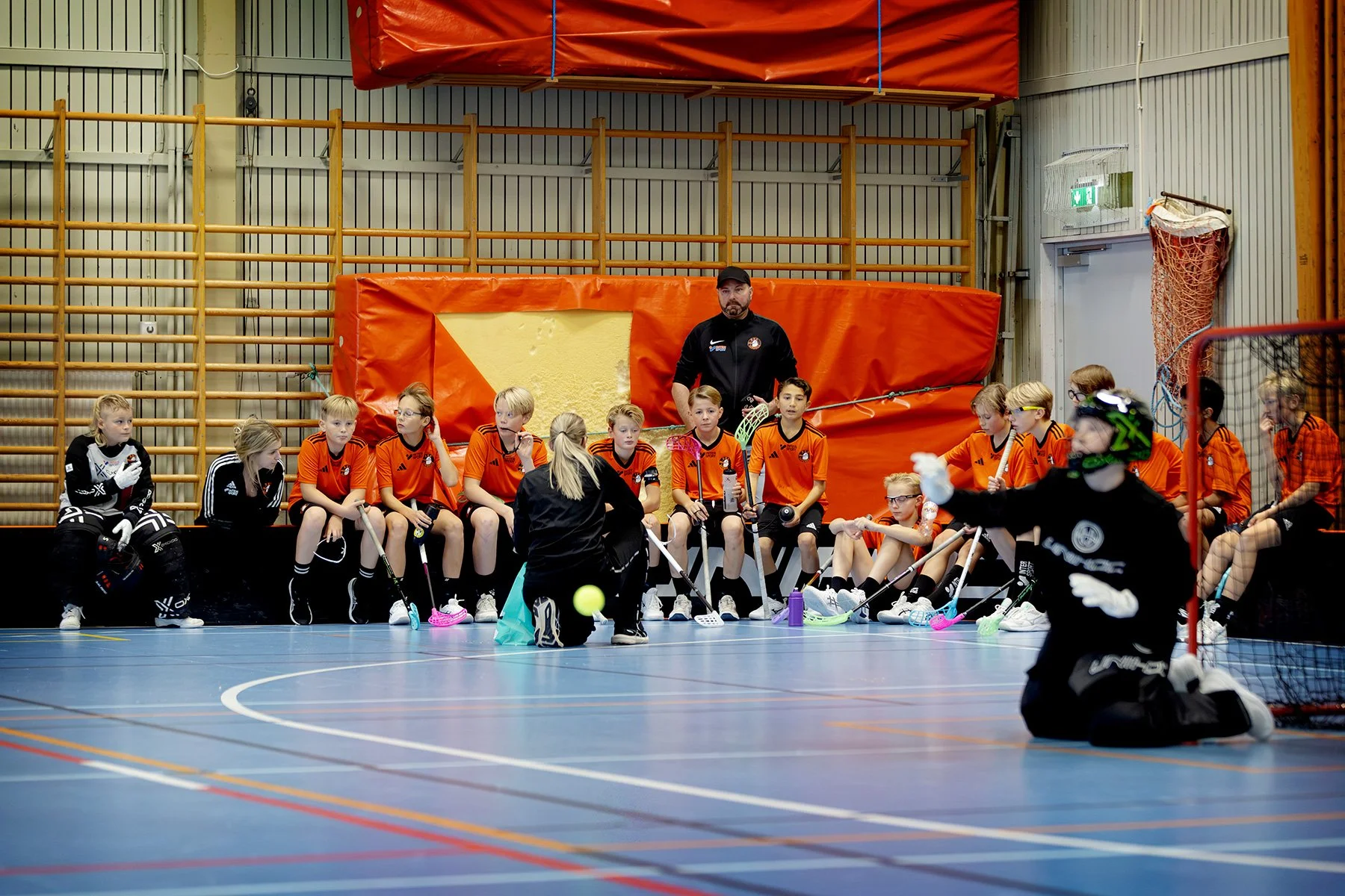 blogg-261018-varla-bua-bertil-37.jpg