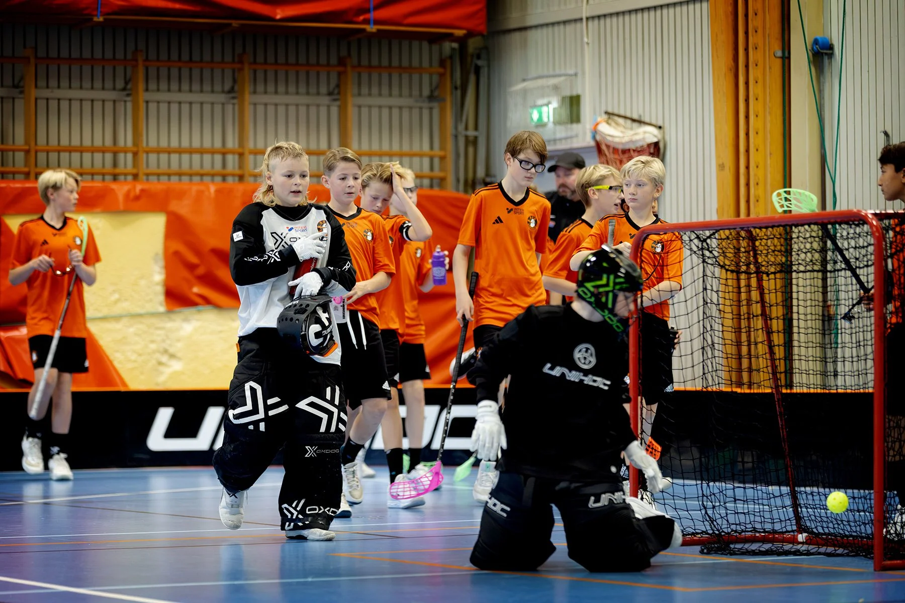 blogg-261018-varla-bua-bertil-38.jpg