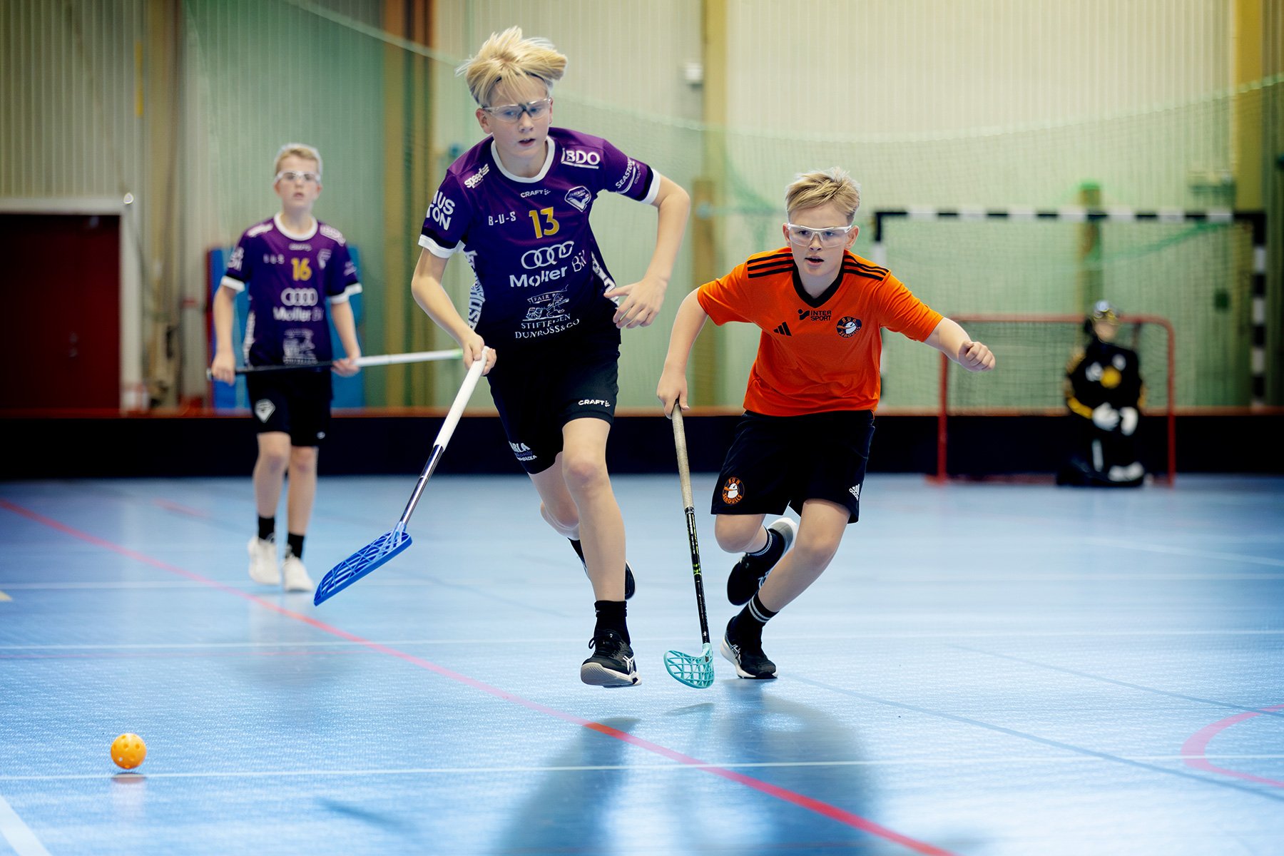 blogg-261018-varla-bua-bertil-43.jpg