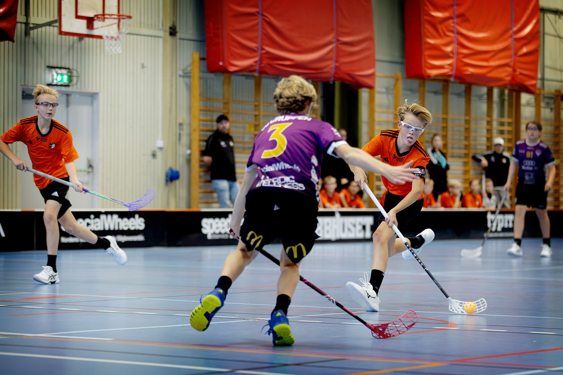 blogg-261018-varla-bua-bertil-47.jpg