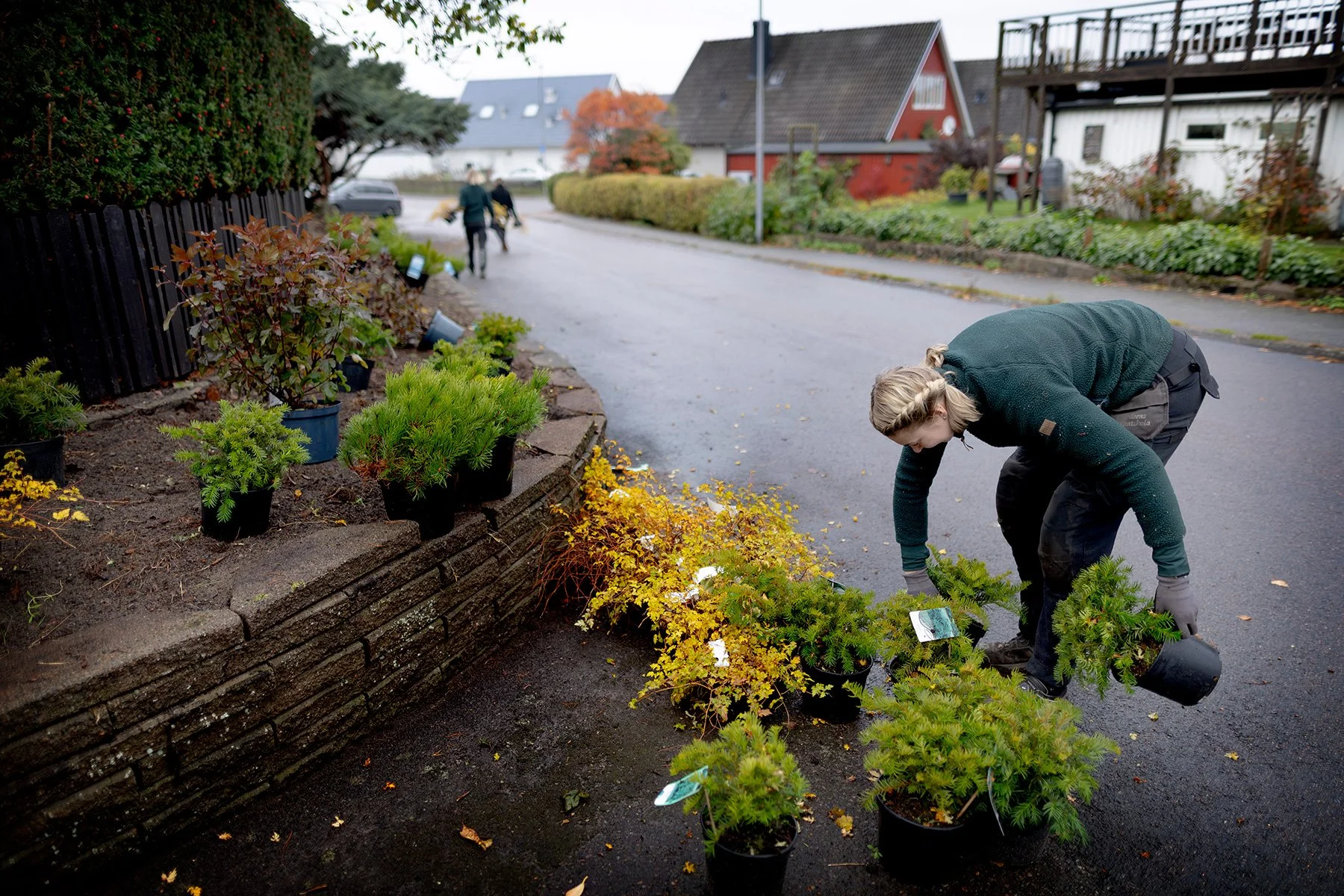 blogg-261021-horasen-plantering-5.jpg