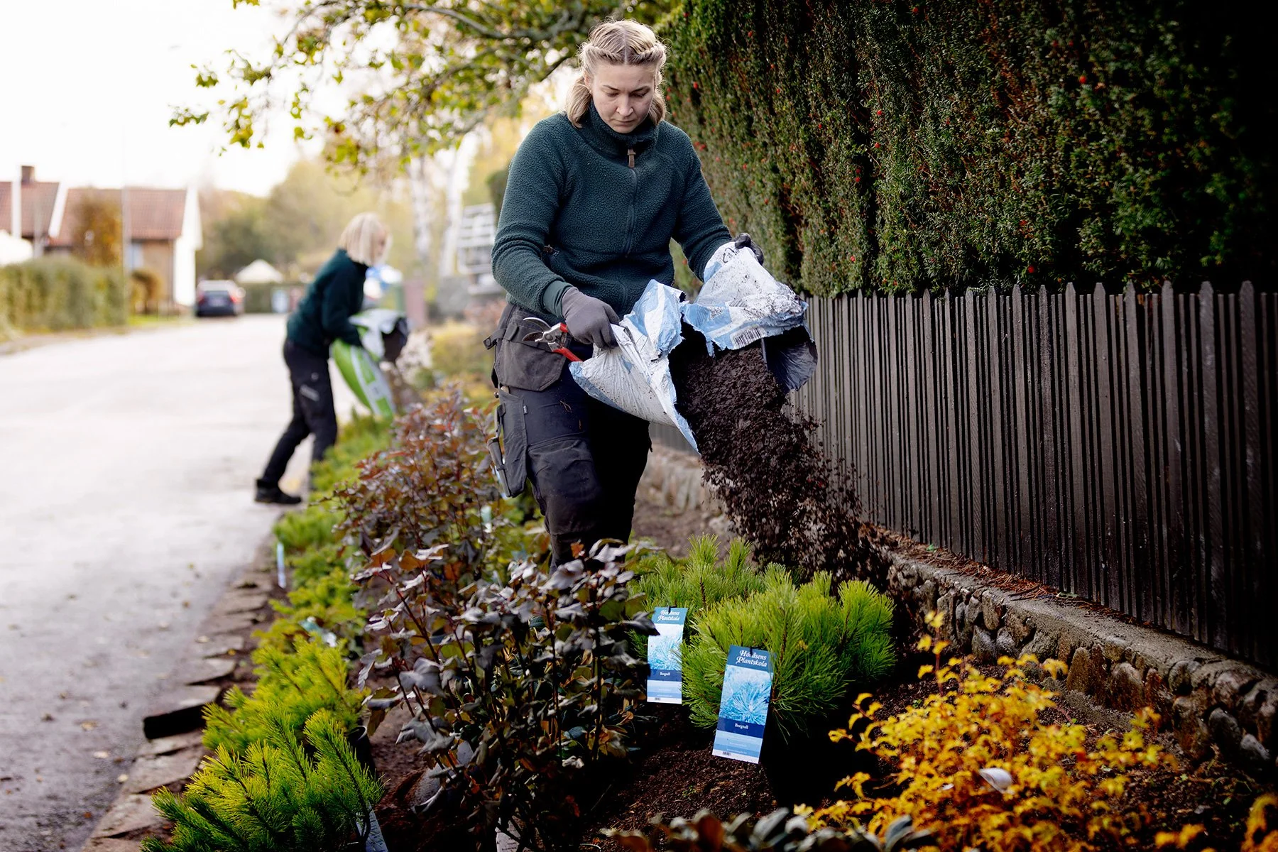 blogg-261021-horasen-plantering-10.jpg