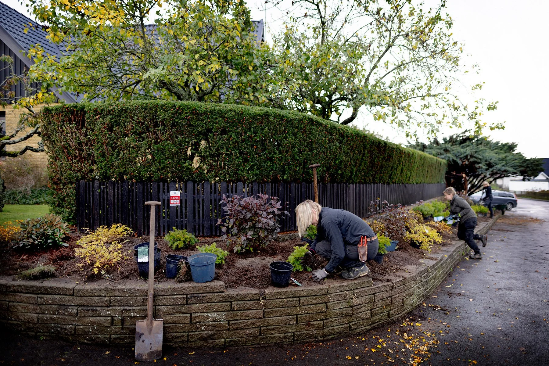 blogg-261021-horasen-plantering-11.jpg