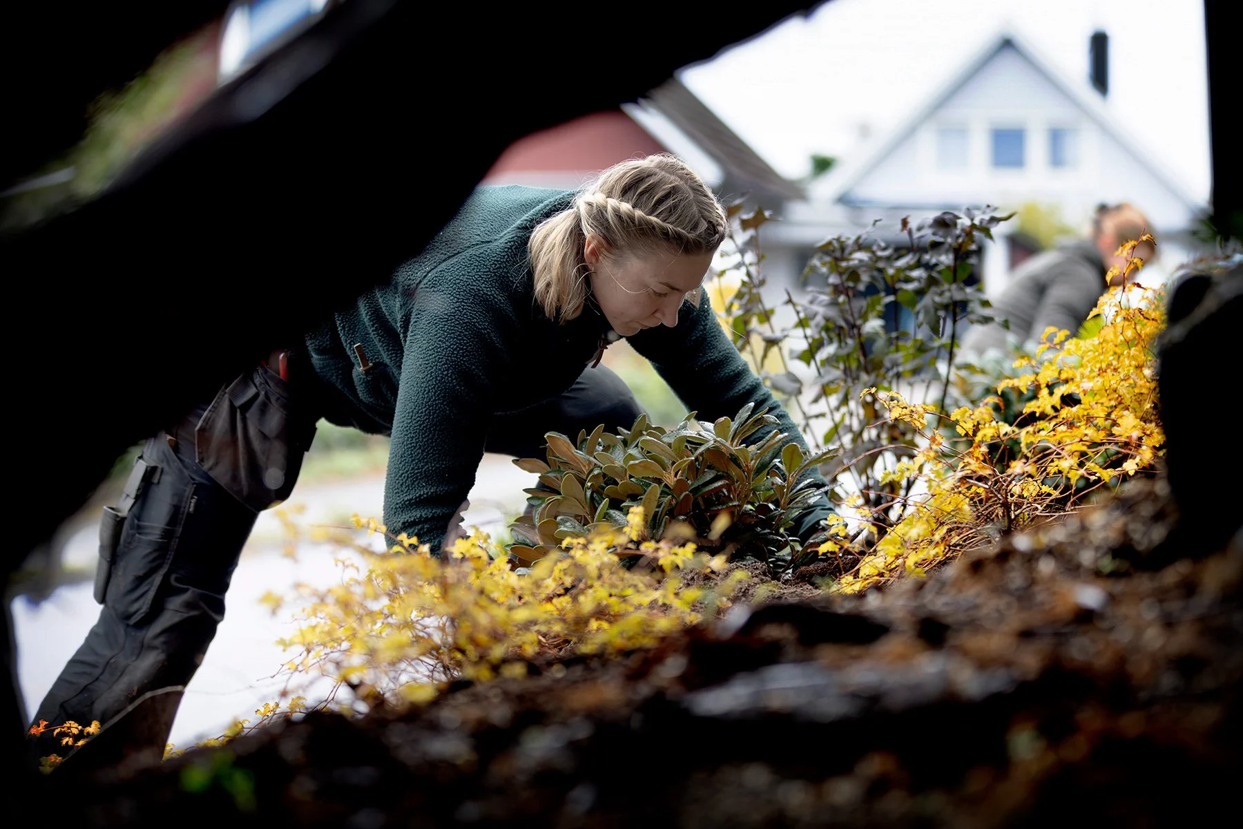 blogg-261021-horasen-plantering-14.jpg